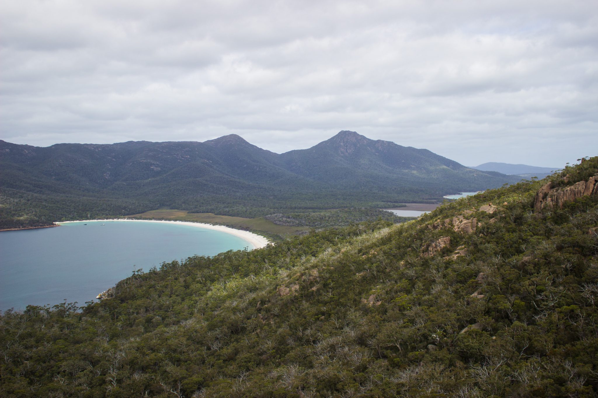 Lookout, Aussichtspunkt auf Wineglass Bay, Bucht im traumhaften Freycinet Nationalpark in Tasmanien, saftig grüner Wald, Berge