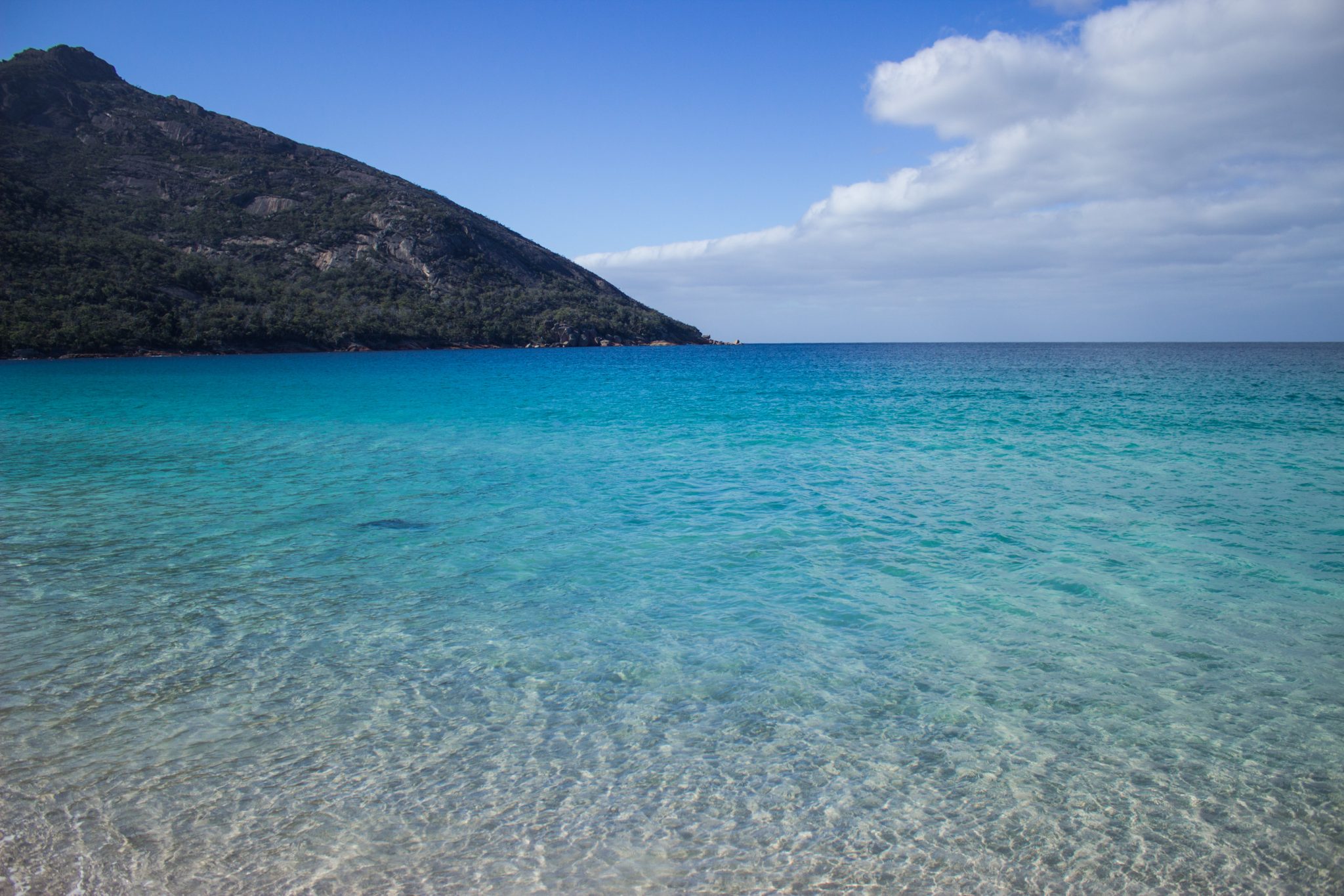Wineglass Bay, Bucht im traumhaften Freycinet Nationalpark in Tasmanien, saftig grüner Wald, Strand mit schneeweißem Zuckersand und kristallklarem Wasser, Traumstrand