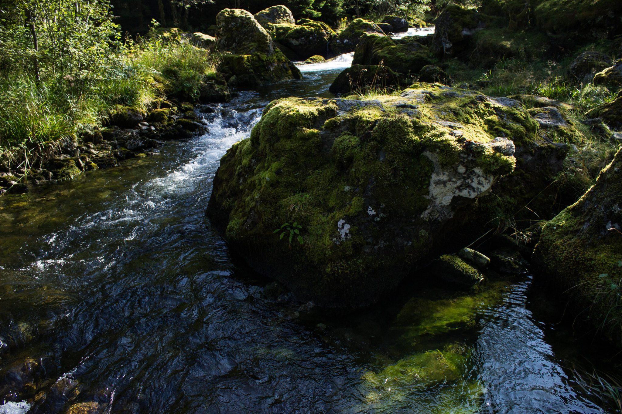 Wanderung vom Ort Sundal bis zum Gletscher Bondhusbreen im Folgefonna Nationalpark, kristallklares Wasser im Fluß, mit Moos bewachsene Steine