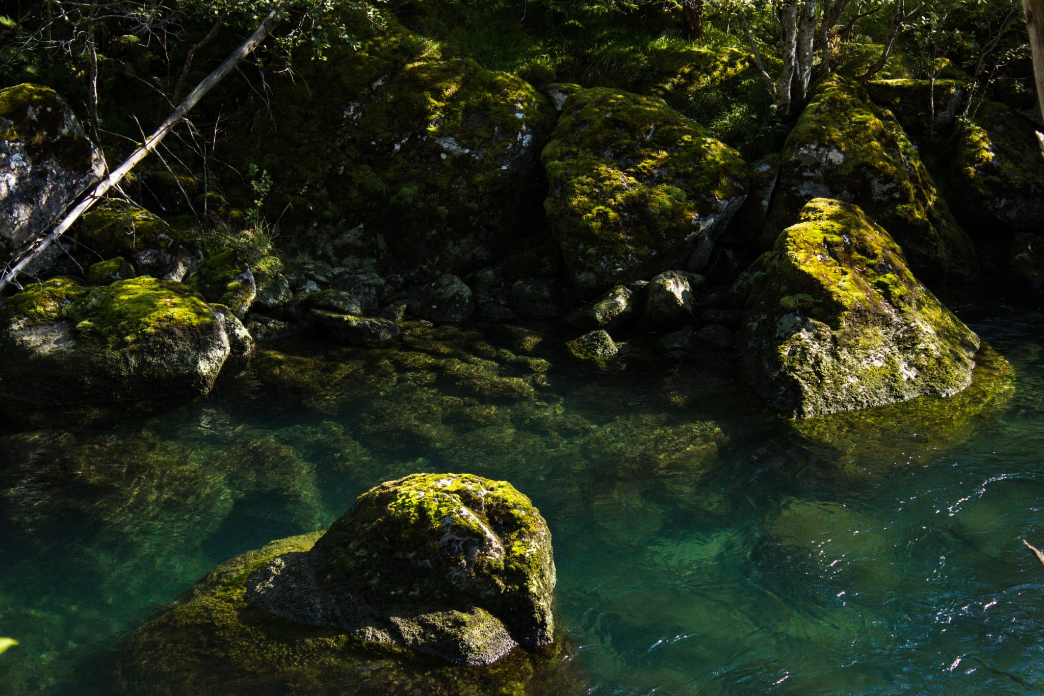Wanderung vom Ort Sundal bis zum Gletscher Bondhusbreen im Folgefonna Nationalpark, kristallklares Wasser im Fluß, mit Moos bewachsene Steine