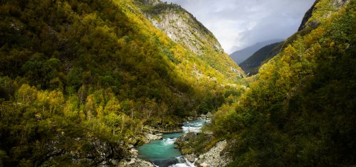 Wanderung zum Vettisfossen Wasserfall, höchster unregulierter Wasserfall in Norwegen, Blick von Brücke auf sehr klares Wasser im Fluß und schönen Wald umringt von Bergen, Sonne zaubert schönes Licht