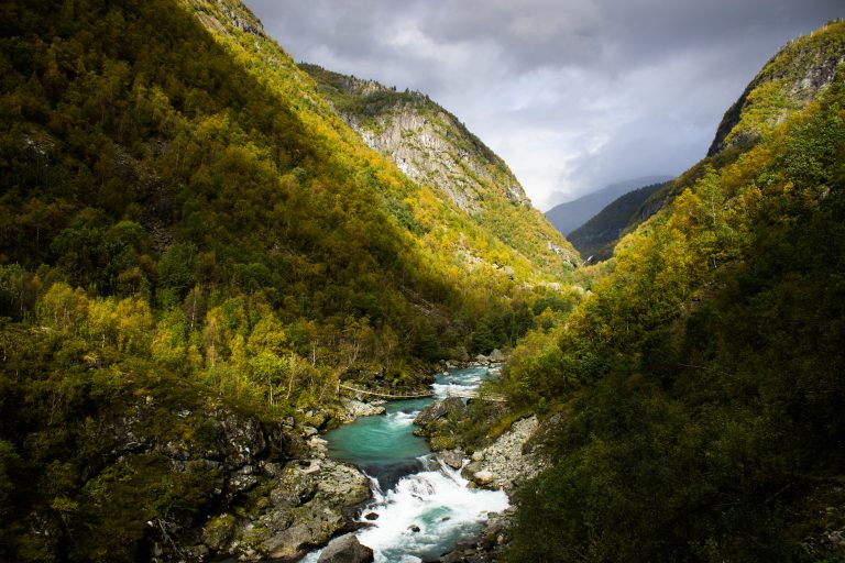 Wanderung zum Vettisfossen Wasserfall, höchster unregulierter Wasserfall in Norwegen, Blick von Brücke auf sehr klares Wasser im Fluß und schönen Wald umringt von Bergen, Sonne zaubert schönes Licht