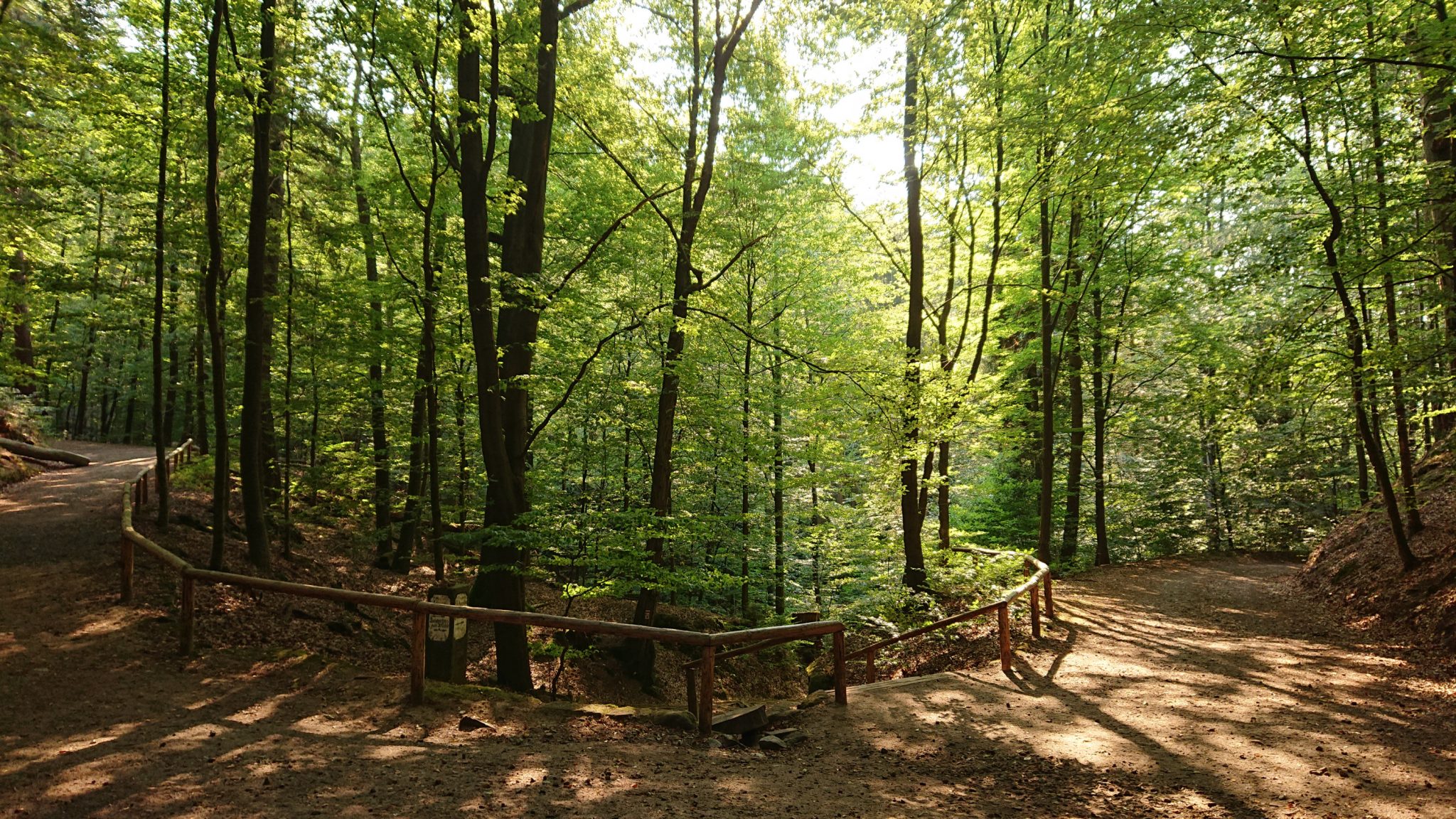 Wanderung zum Kuhstall im Kirnitzschtal, Wanderweg in der sächsischen Schweiz zum beliebten Ausflugsziel Kuhstall, schöner Wald, am späten Nachmittag wenige Leute unterwegs
