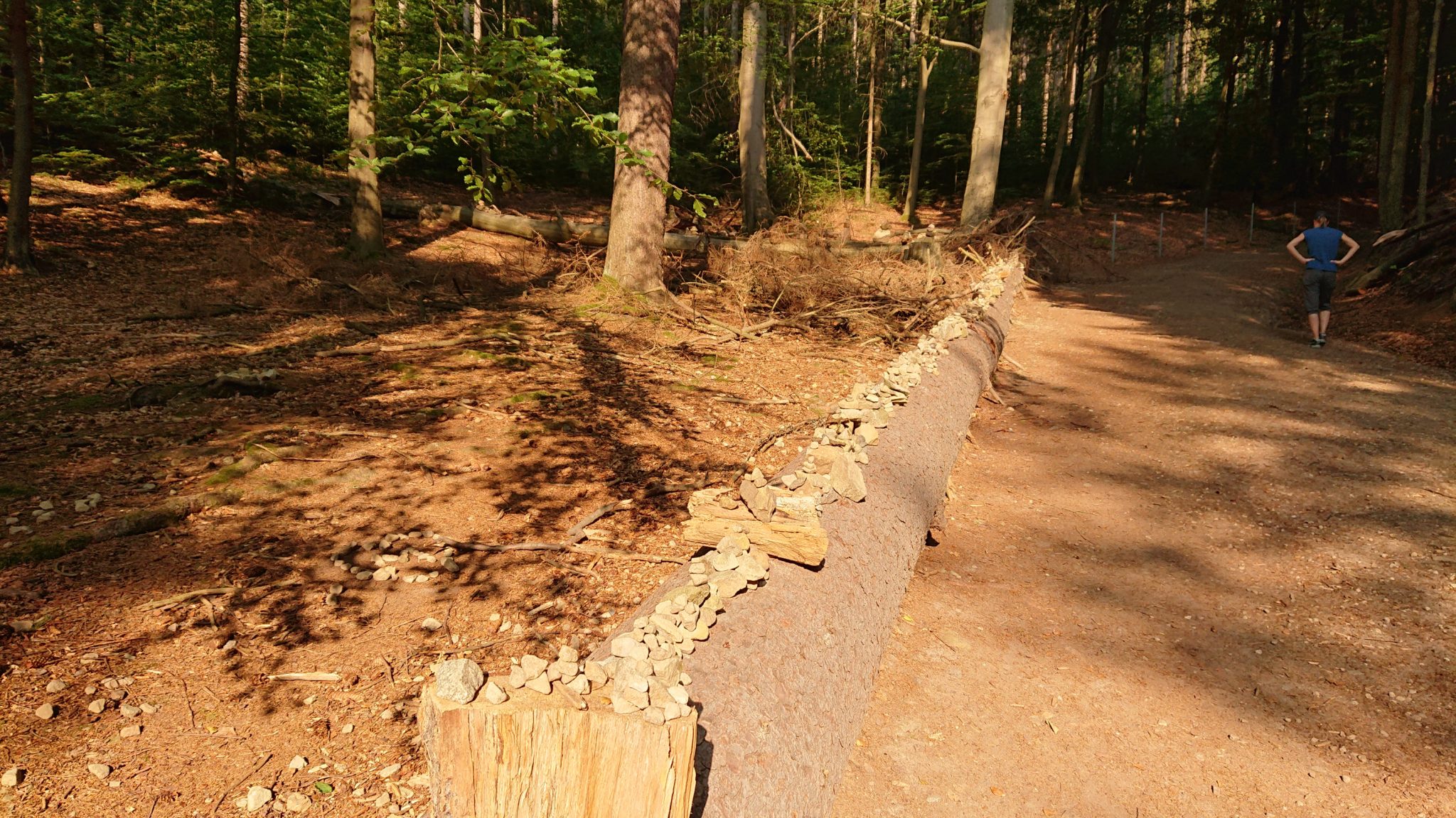 Wanderung zum Kuhstall im Kirnitzschtal, Wanderweg in der sächsischen Schweiz zum beliebten Ausflugsziel Kuhstall, schöner Wald, am späten Nachmittag wenige Leute unterwegs, ohne Übung garnicht so einfach wie man meinen könnte