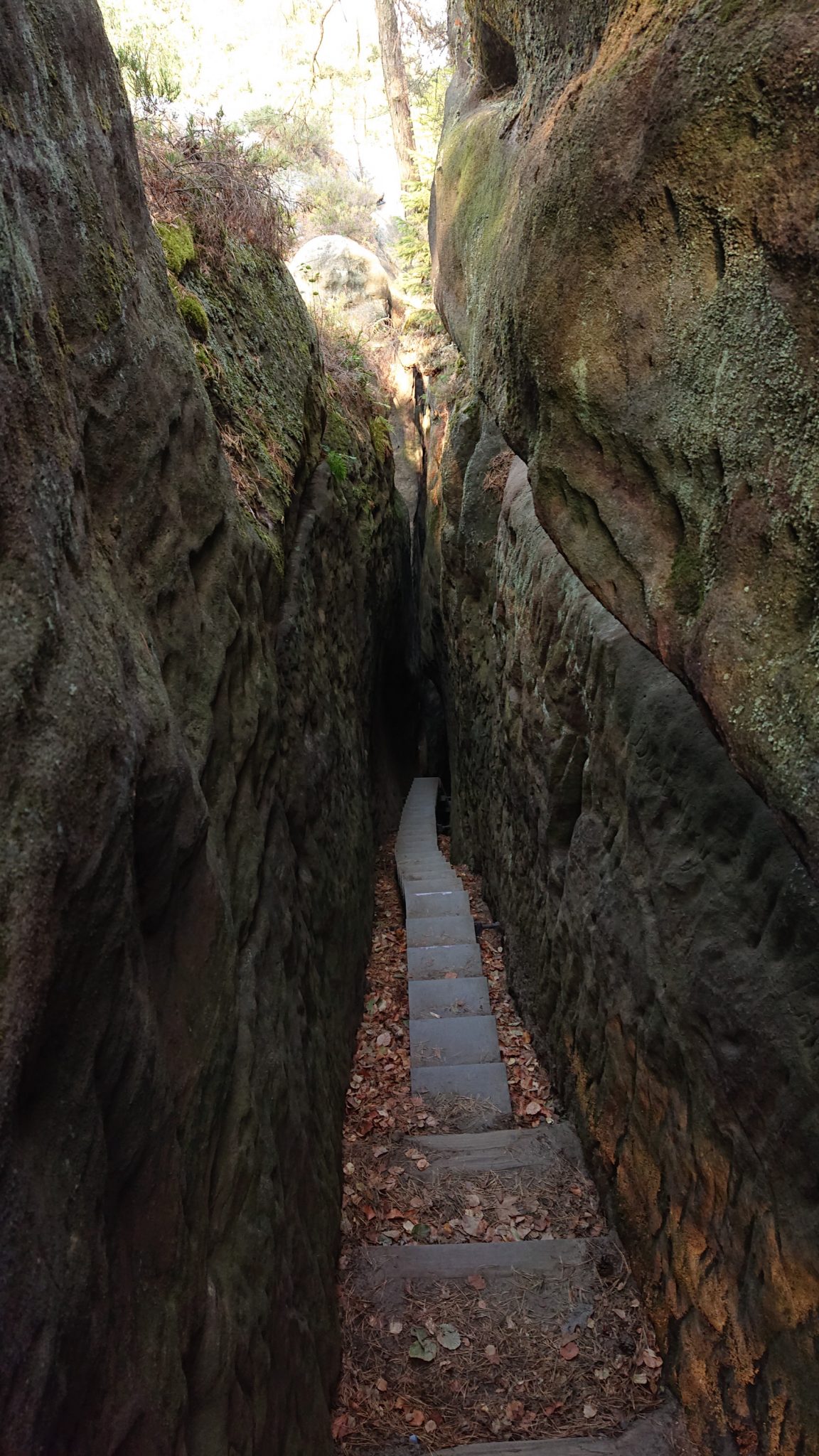 Wanderung zum Kuhstall im Kirnitzschtal, vom Kuhstall Möglichkeit über schmale Himmelsleiter weiter zu wandern und weitere schöne Aussichten