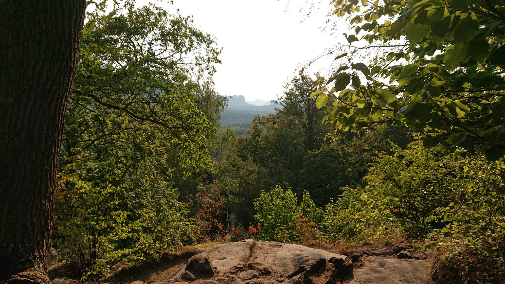 Wanderung zum Kuhstall im Kirnitzschtal, wunderbare Aussicht mit herrlichem Wetter auf das Wanderparadies sächsische Schweiz