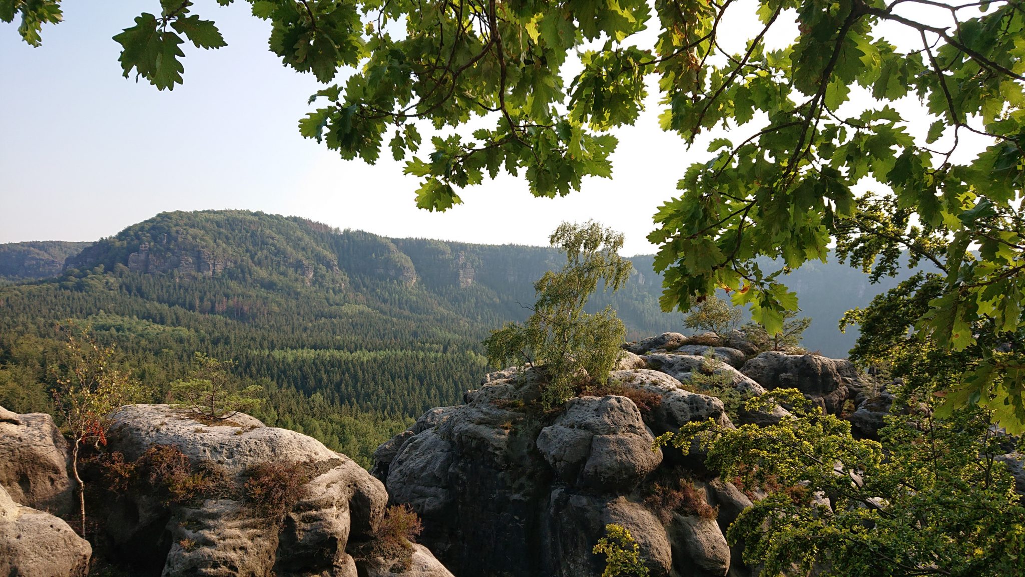 Wanderung zum Kuhstall im Kirnitzschtal, wunderbare Aussicht mit herrlichem Wetter auf das Wanderparadies sächsische Schweiz, riesiger Felsennationalpark