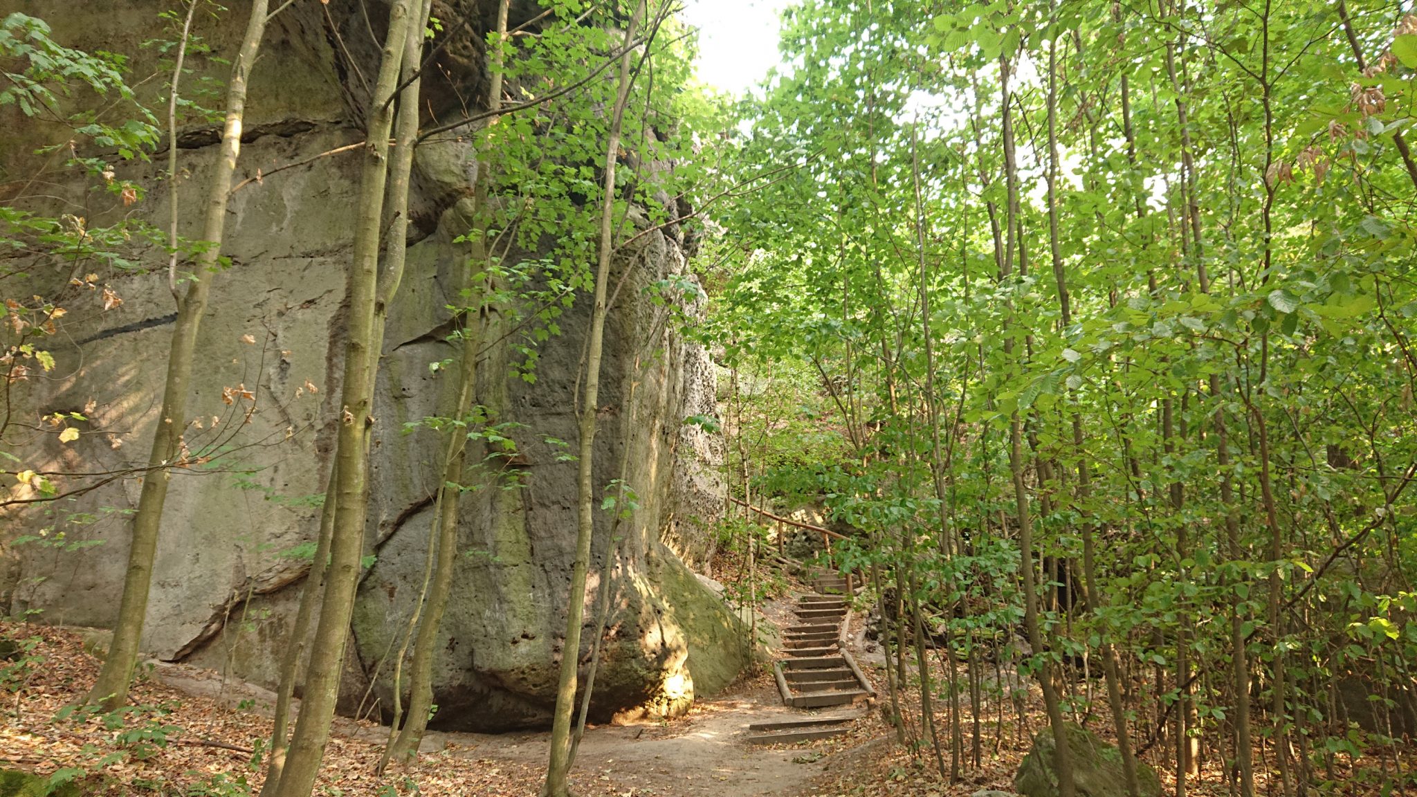 Wanderung zum Kuhstall im Kirnitzschtal, Wanderweg in der sächsischen Schweiz beim beliebten Ausflugsziel Kuhstall, schöner Wald, am späten Nachmittag wenige Leute unterwegs