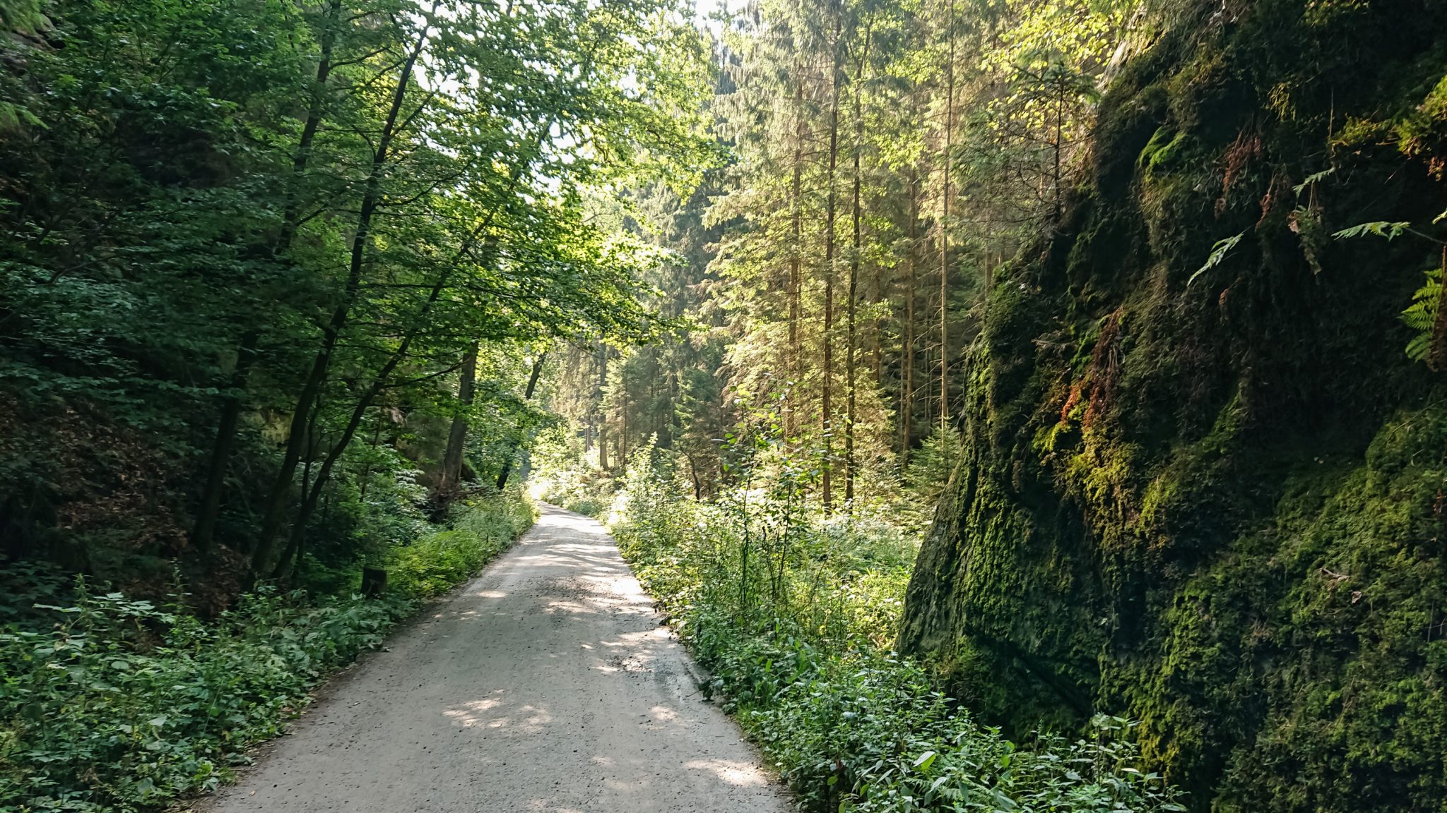 Zeughaus Roß- und Goldsteig Richterschlüchte im Kirnitzschtal wandern, Wanderweg im Wanderparadies Sächsische Schweiz mit vielen tollen Aussichten, riesiger Felsennationalpark