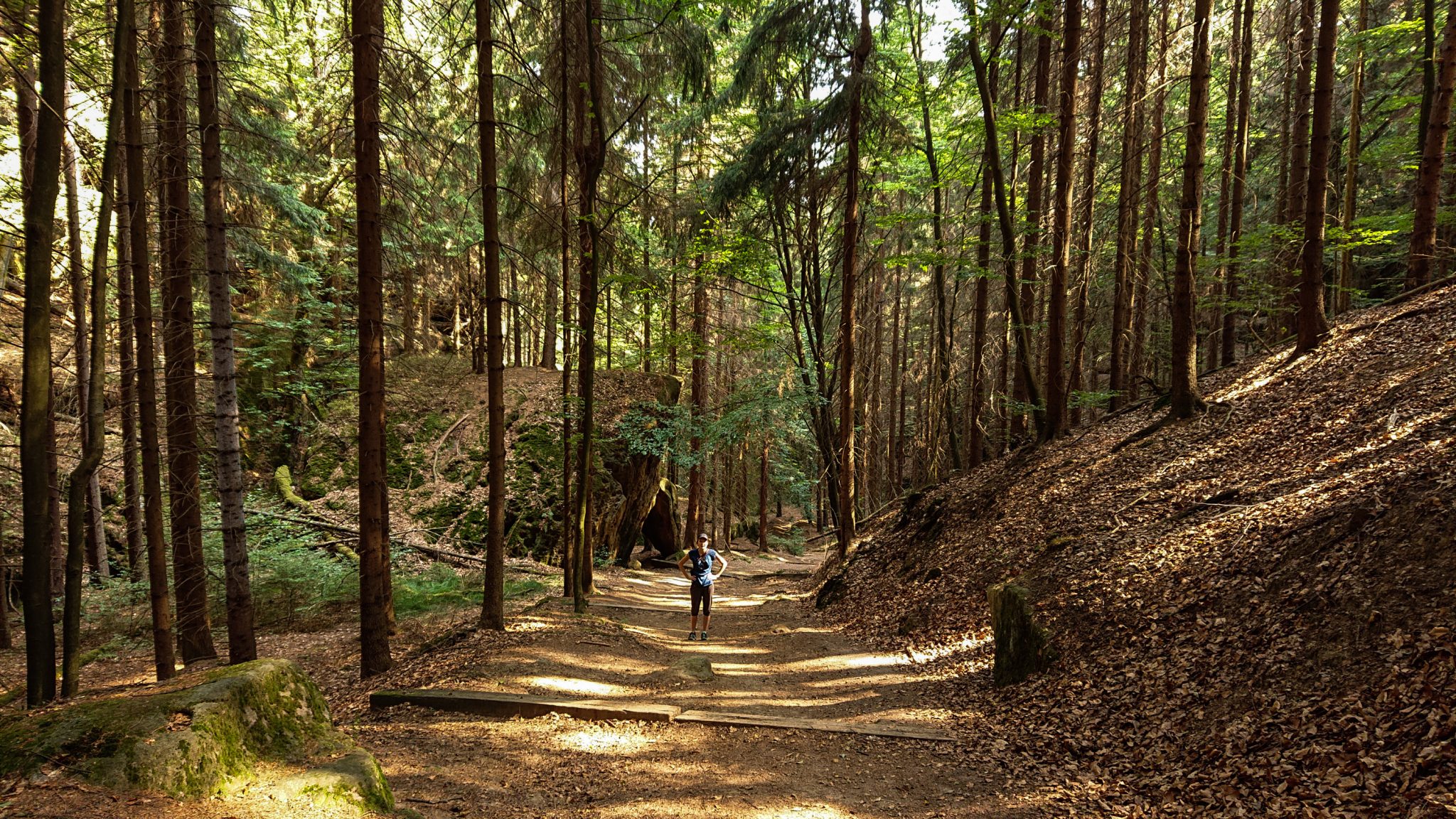 Zeughaus Roß- und Goldsteig Richterschlüchte im Kirnitzschtal wandern, Wanderweg im Wanderparadies Sächsische Schweiz mit vielen tollen Aussichten, riesiger Felsennationalpark