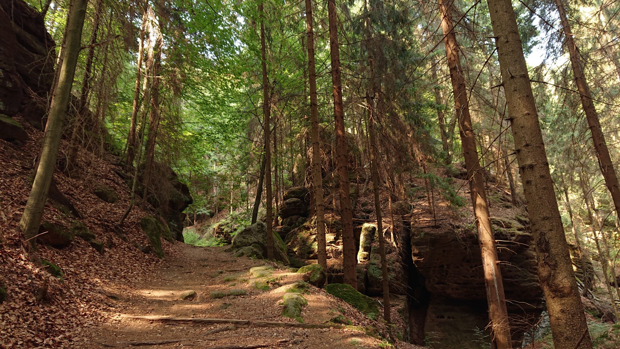 Zeughaus Roß- und Goldsteig Richterschlüchte im Kirnitzschtal wandern, Wanderweg im Wanderparadies Sächsische Schweiz mit vielen tollen Aussichten, riesiger Felsennationalpark