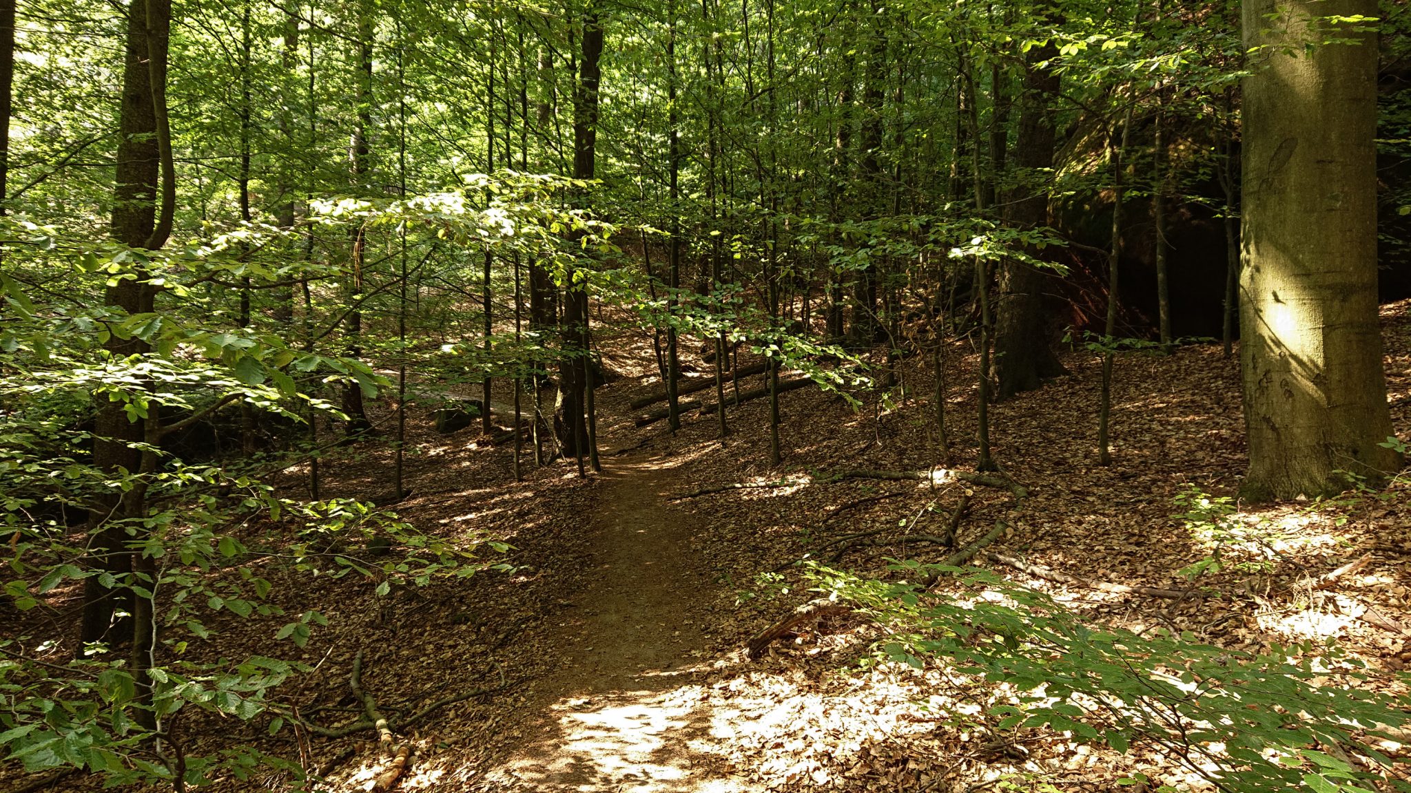 Zeughaus Roß- und Goldsteig Richterschlüchte im Kirnitzschtal wandern, Wanderweg im Wanderparadies Sächsische Schweiz mit vielen tollen Aussichten, riesiger Felsennationalpark