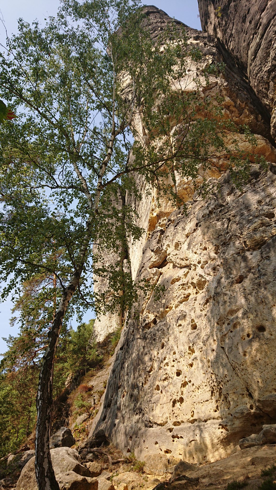 Zeughaus Roß- und Goldsteig Richterschlüchte im Kirnitzschtal wandern, Wanderweg im Wanderparadies Sächsische Schweiz mit vielen tollen Aussichten, riesiger Felsennationalpark, sehr hohe und steile Felsen