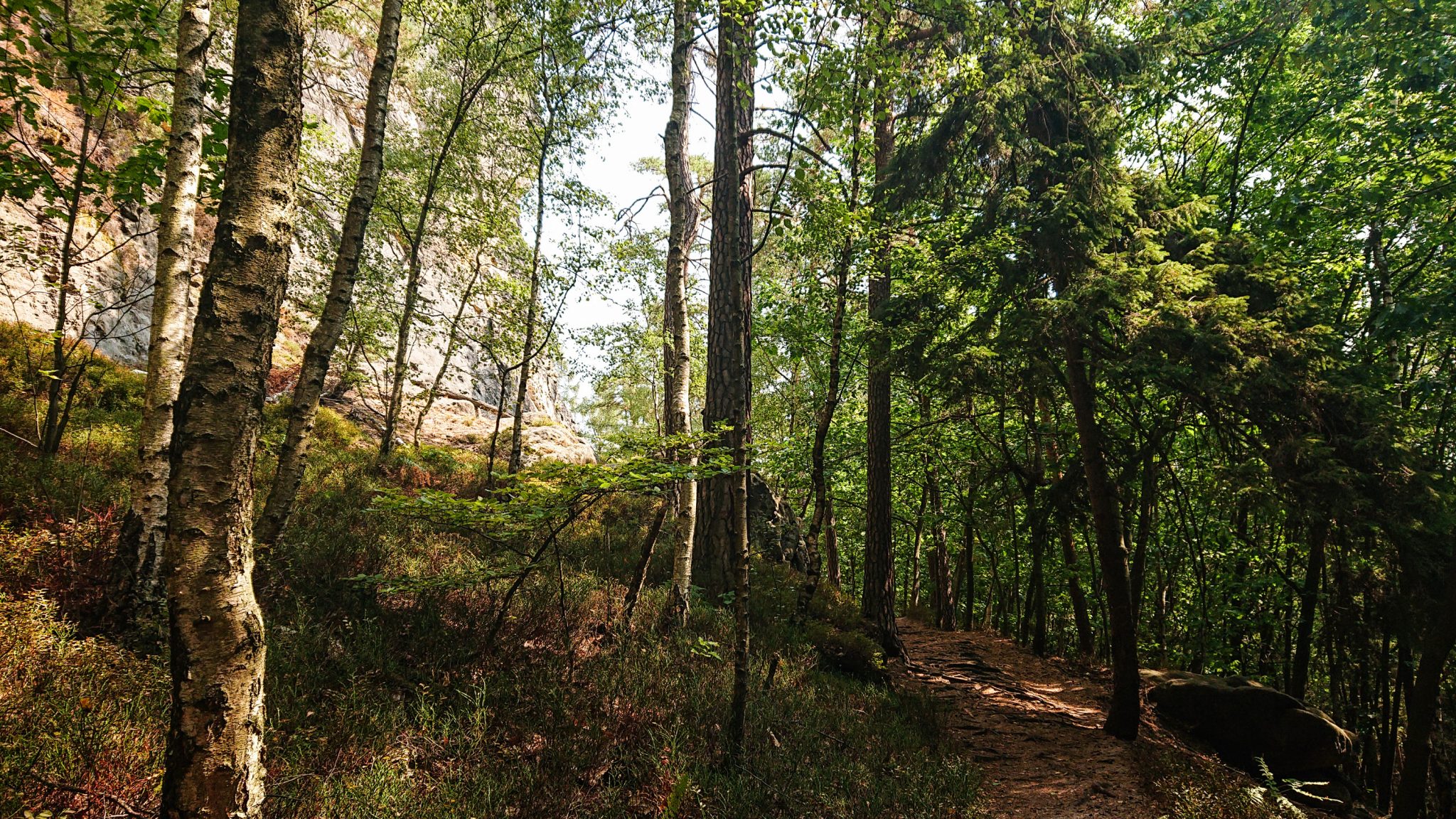 Zeughaus Roß- und Goldsteig Richterschlüchte im Kirnitzschtal wandern, Wanderweg im Wanderparadies Sächsische Schweiz mit vielen tollen Aussichten, riesiger Felsennationalpark, schattenspendender Wald