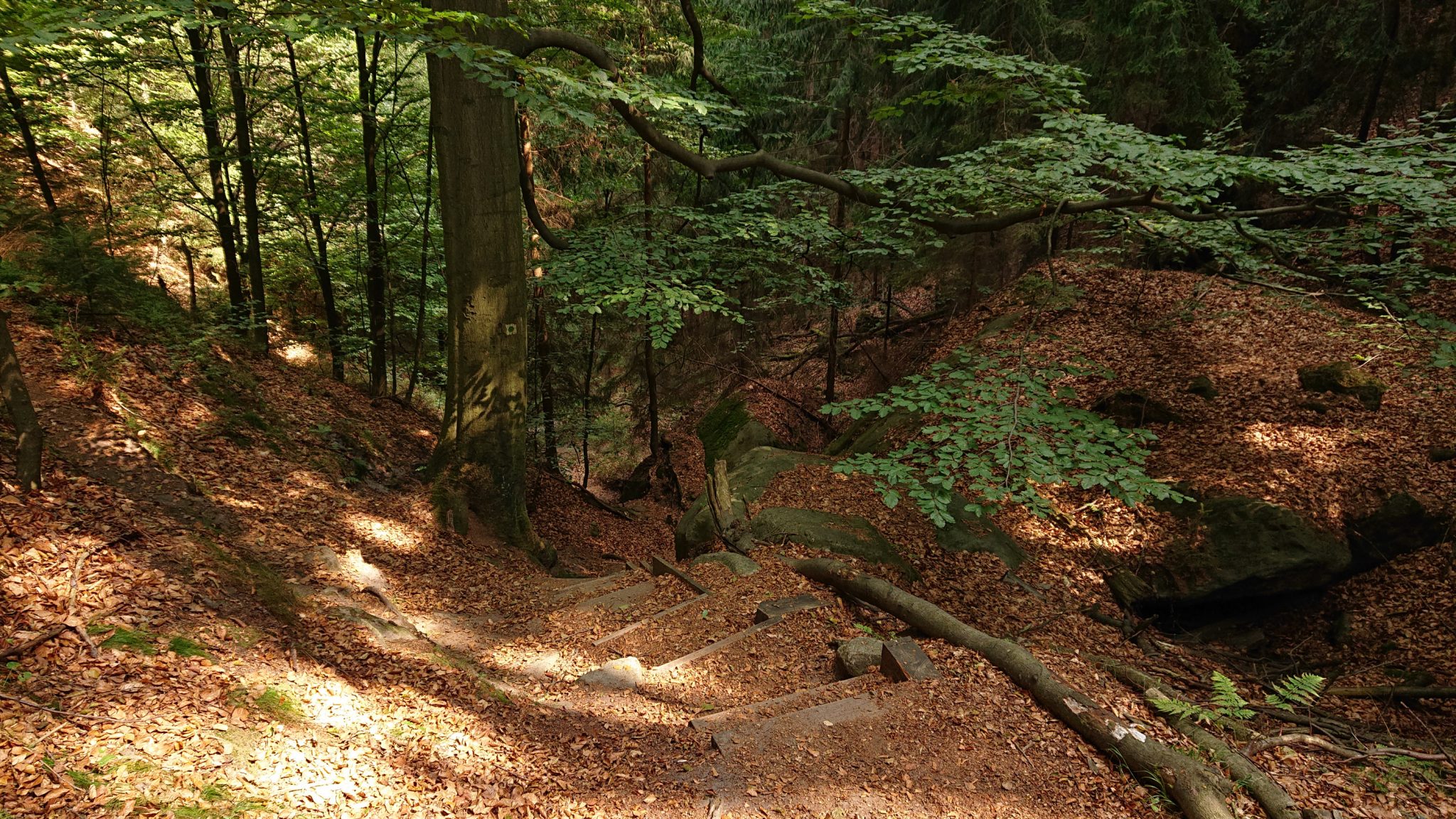 Zeughaus Roß- und Goldsteig Richterschlüchte im Kirnitzschtal wandern, Wanderweg im Wanderparadies Sächsische Schweiz mit vielen tollen Aussichten, riesiger Felsennationalpark, Treppenstufen oftmals zu finden