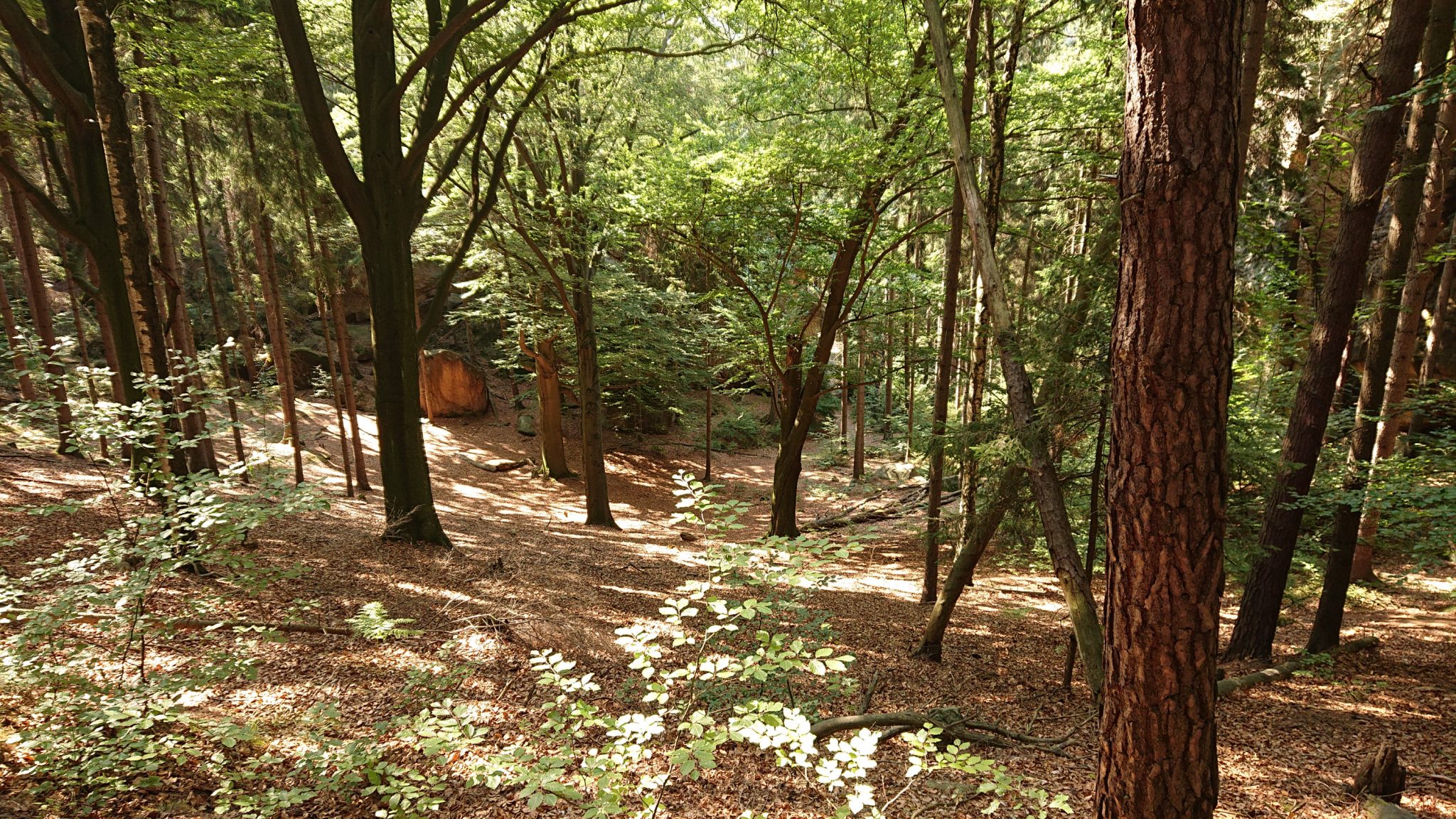 Hohe Liebe Schrammsteine Carolafelsen, Wanderweg im Wanderparadies Sächsische Schweiz mit vielen tollen Aussichten, riesiger Felsennationalpark