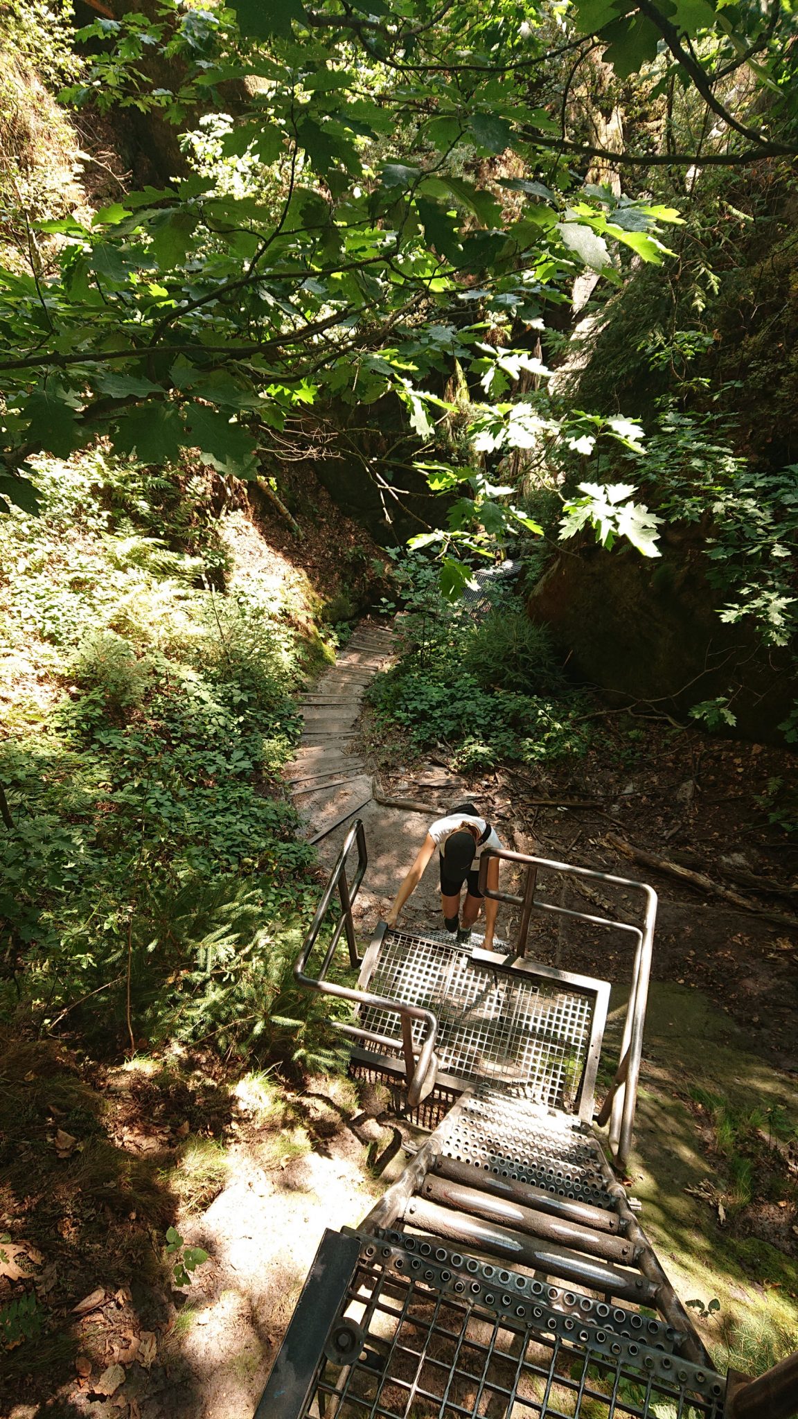 Hohe Liebe Schrammsteine Carolafelsen, Wanderweg im Wanderparadies Sächsische Schweiz mit vielen tollen Aussichten, riesiger Felsennationalpark, einige Höhenmeter über Metalltreppen überwinden macht Spaß und ist sehr abwechslungsreich