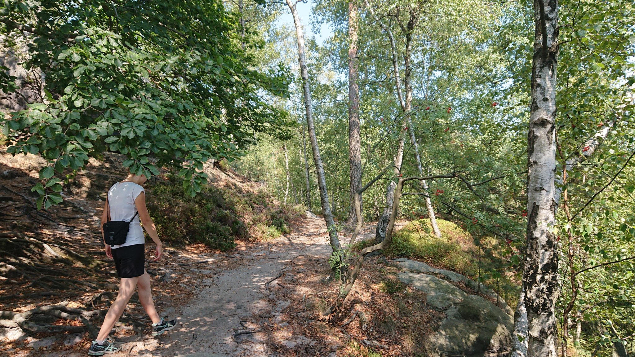 Hohe Liebe Schrammsteine Carolafelsen, Wanderweg im Wanderparadies Sächsische Schweiz mit vielen tollen Aussichten, riesiger Felsennationalpark, bei Hitze viele schattige Abschnitte