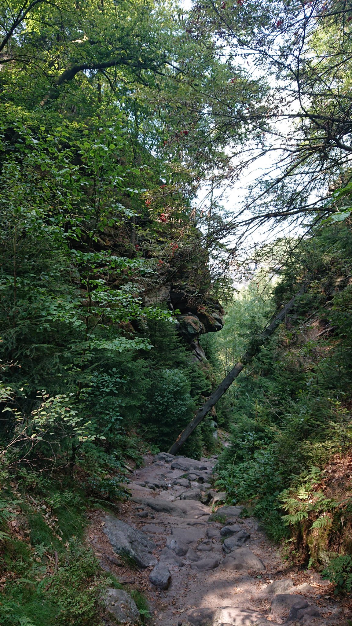 Hohe Liebe Schrammsteine Carolafelsen, Wanderweg im Wanderparadies Sächsische Schweiz mit vielen tollen Aussichten, riesiger Felsennationalpark, felsige naturbelassene Pfade