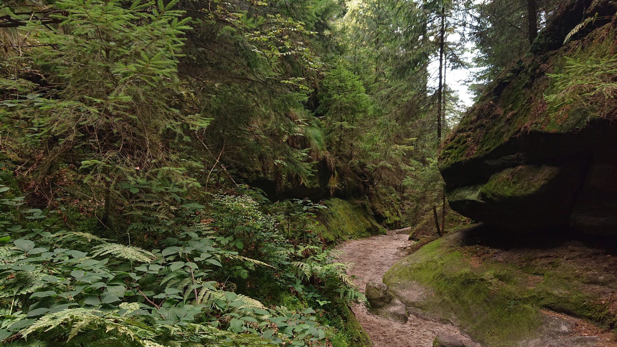 Hohe Liebe Schrammsteine Carolafelsen, Wanderweg im Wanderparadies Sächsische Schweiz mit vielen tollen Aussichten, riesiger Felsennationalpark, schöner Weg