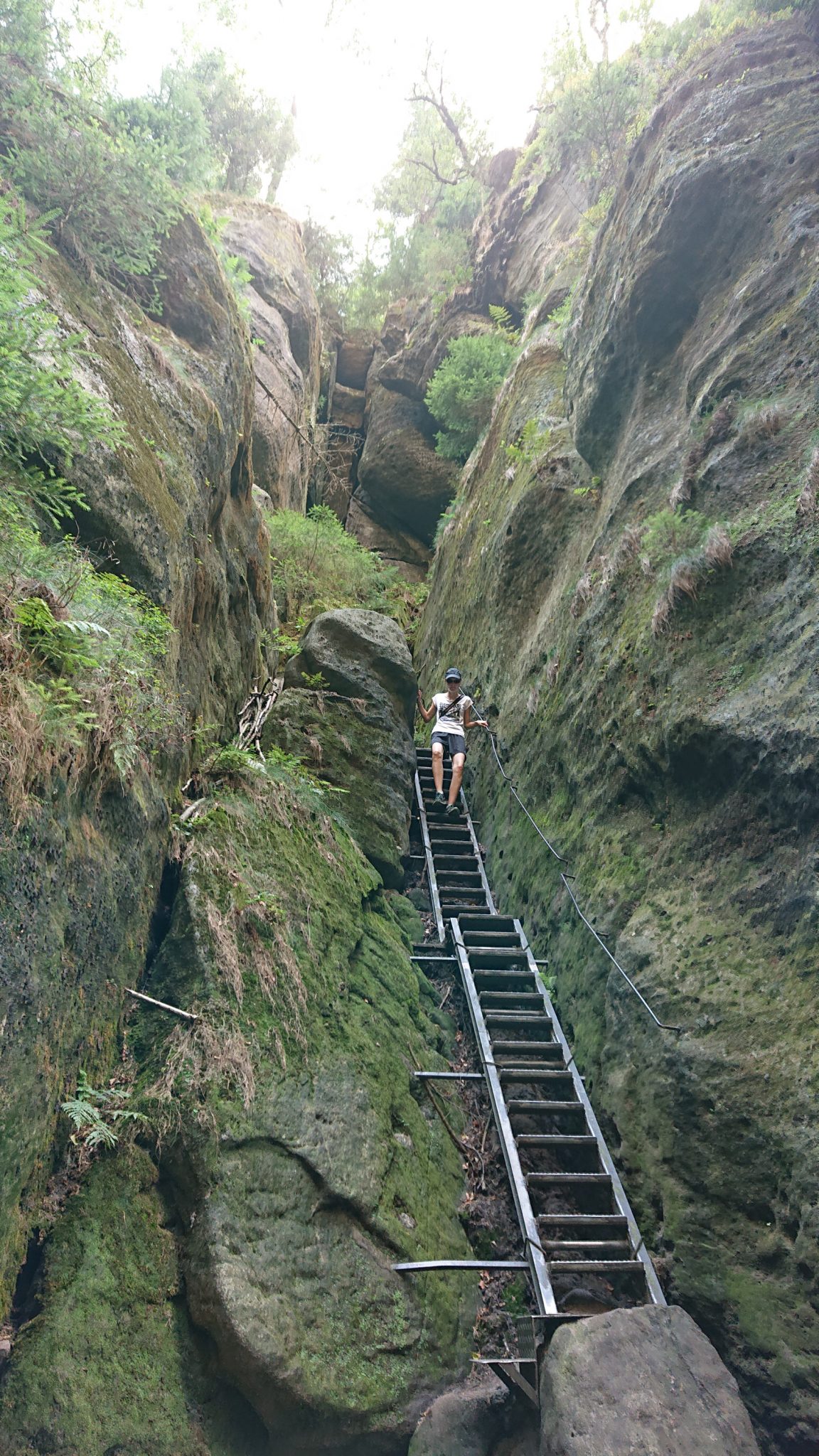 Hohe Liebe Schrammsteine Carolafelsen, Wanderweg im Wanderparadies Sächsische Schweiz mit vielen tollen Aussichten, riesiger Felsennationalpark, Metallleiter