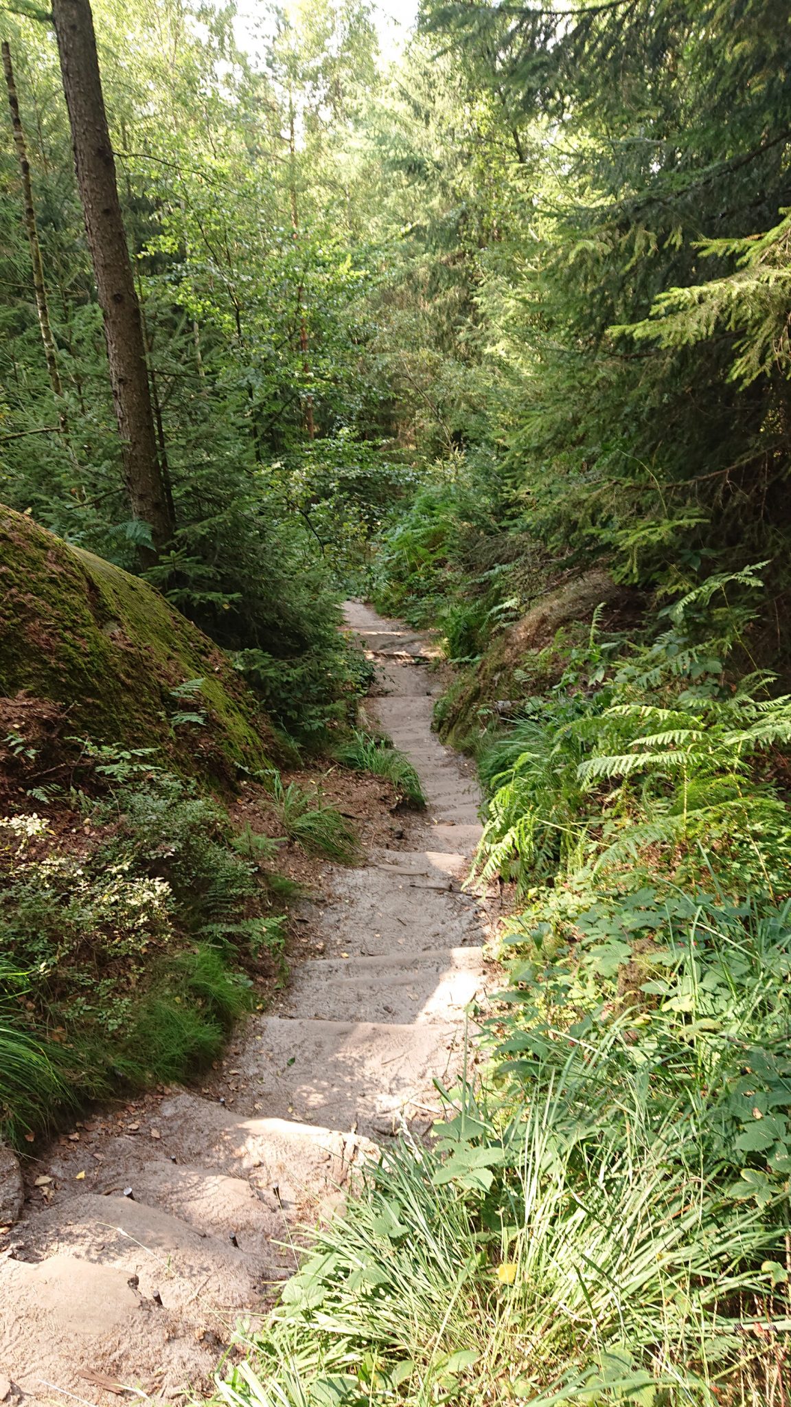 Hohe Liebe Schrammsteine Carolafelsen, Wanderweg im Wanderparadies Sächsische Schweiz mit vielen tollen Aussichten, riesiger Felsennationalpark, schöne Wege