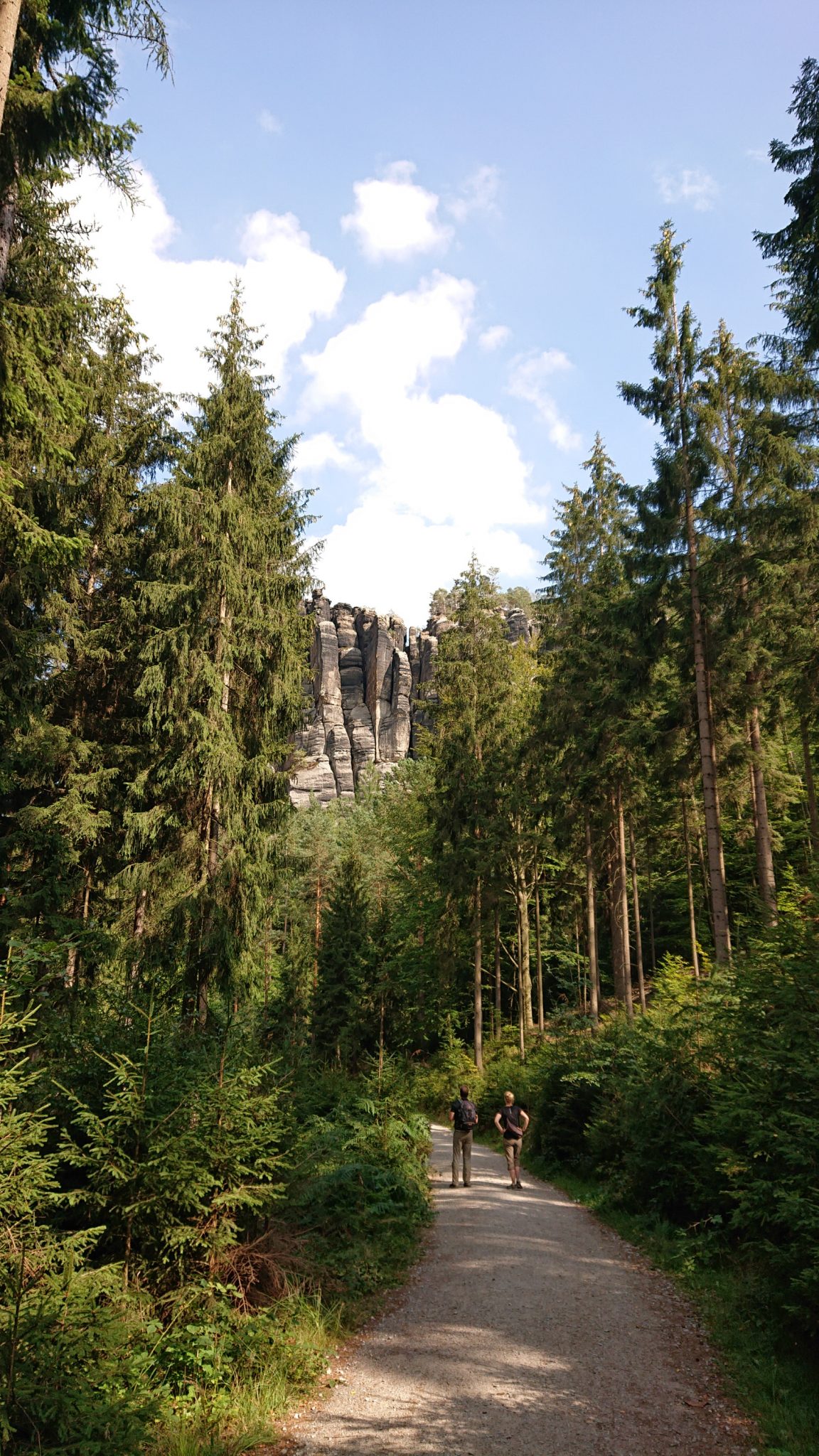 Affensteinweg Frienstein Carolafelsen und Wilde Hölle, Wanderweg im Wanderparadies Sächsische Schweiz mit vielen tollen Aussichten, riesiger Felsennationalpark, schöner Wald
