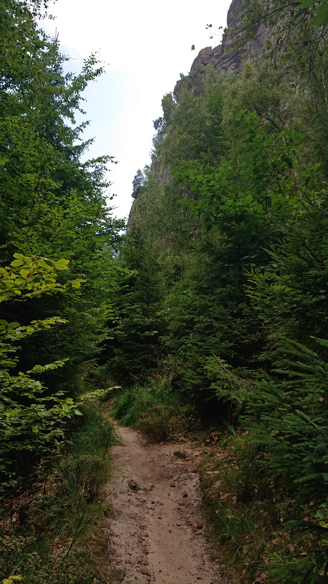 Affensteinweg Frienstein Carolafelsen und Wilde Hölle, Wanderweg im Wanderparadies Sächsische Schweiz mit vielen tollen Aussichten, riesiger Felsennationalpark, schöner Wald