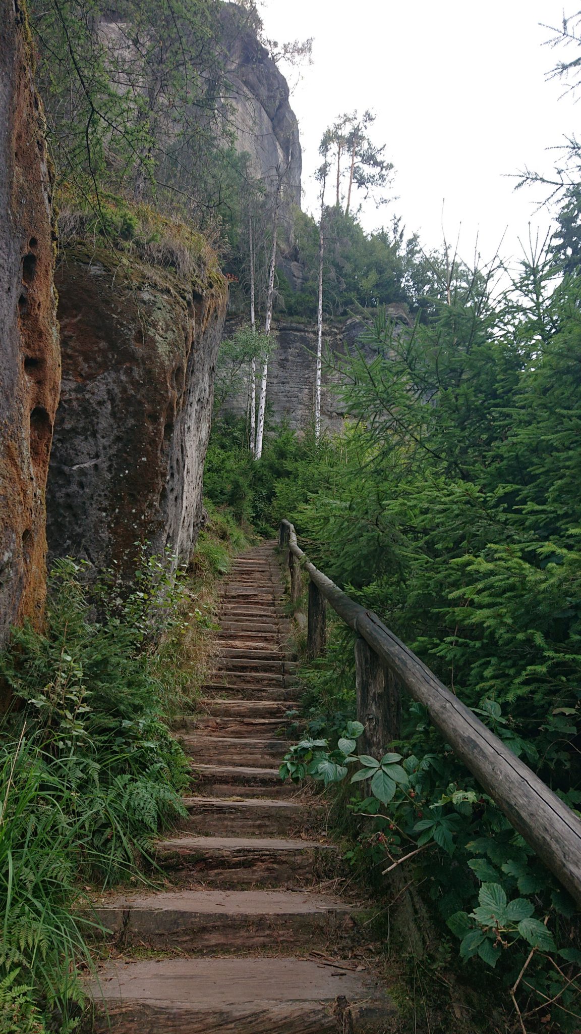 Affensteinweg Frienstein Carolafelsen und Wilde Hölle, Wanderweg im Wanderparadies Sächsische Schweiz mit vielen tollen Aussichten, riesiger Felsennationalpark, schöner Wald, unzählige Treppenstufen auf den Frienstein und zur Idagrotte