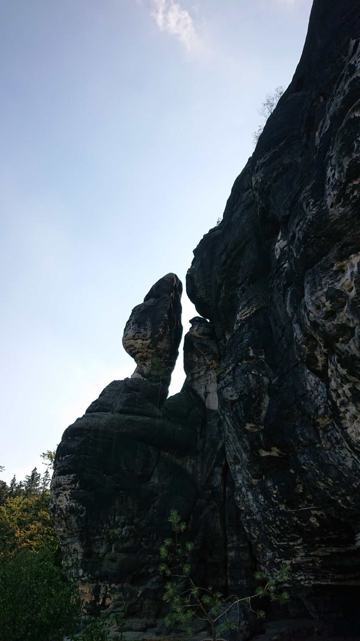 Affensteinweg Frienstein Carolafelsen und Wilde Hölle, Wanderweg im Wanderparadies Sächsische Schweiz mit vielen tollen Aussichten, riesiger Felsennationalpark, schöner Wald, unzählige Treppenstufen auf den Frienstein, Aussichtspunkt Idagrotte