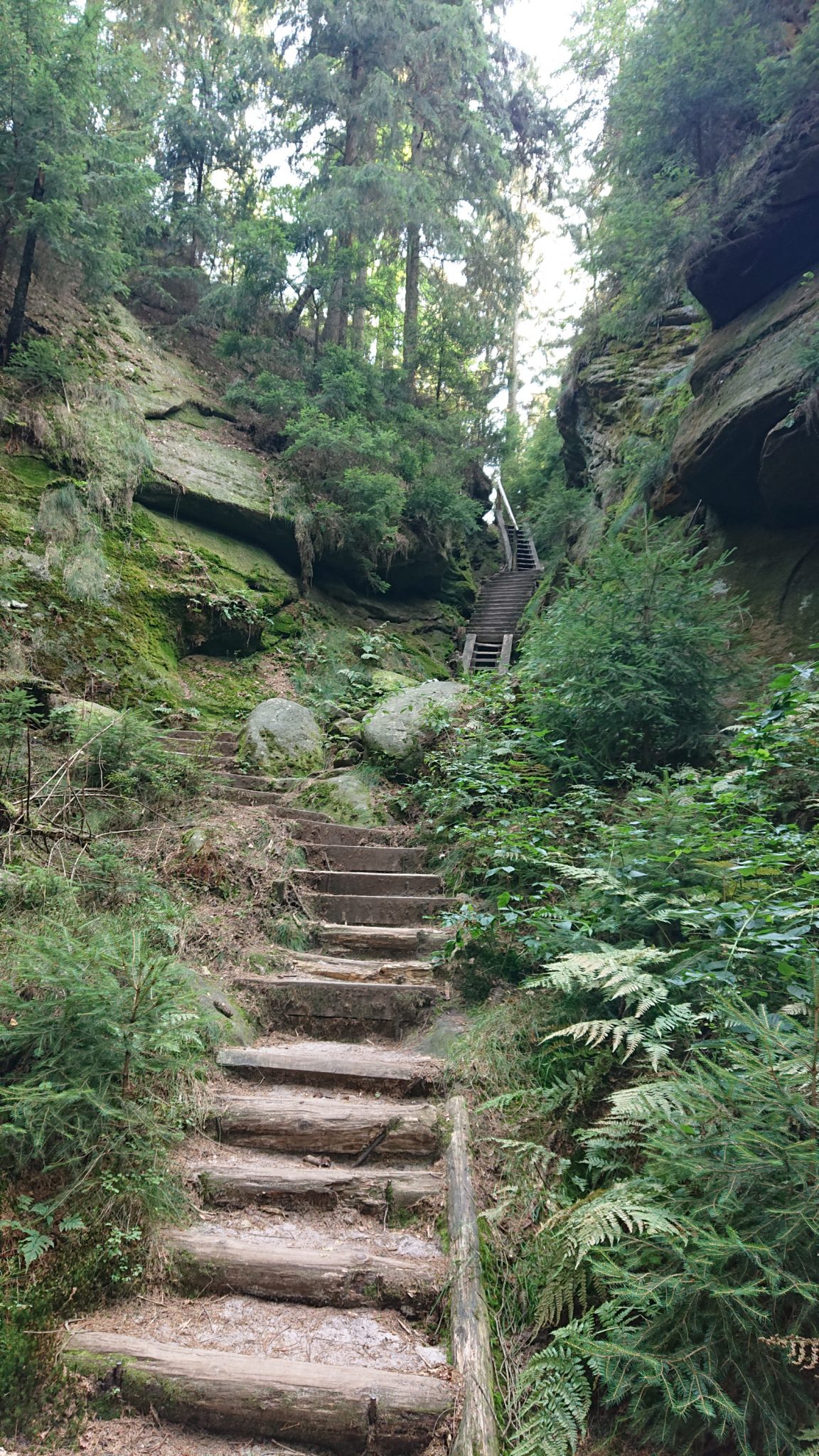 Affensteinweg Frienstein Carolafelsen und Wilde Hölle, Wanderweg im Wanderparadies Sächsische Schweiz mit vielen tollen Aussichten, riesiger Felsennationalpark, schöner Wald, unzählige Treppenstufen auf den Frienstein und zur Idagrotte