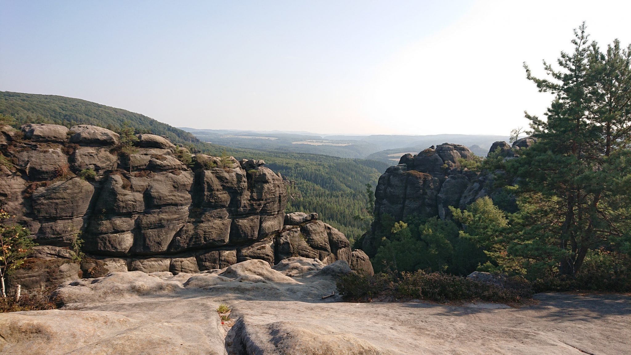 Affensteinweg Frienstein Carolafelsen und Wilde Hölle, Wanderweg im Wanderparadies Sächsische Schweiz mit vielen tollen Aussichten, riesiger Felsennationalpark, schöner Wald
