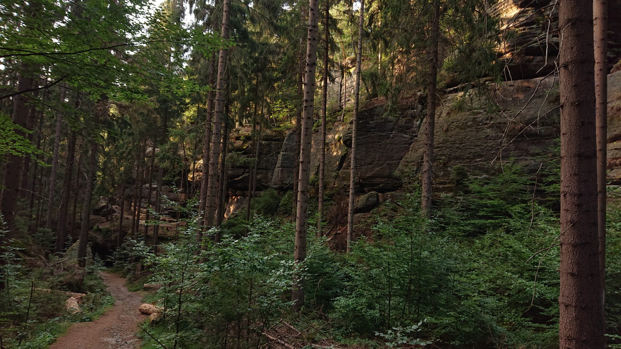 Hohe Liebe Schrammsteine Carolafelsen, Wanderweg im Wanderparadies Sächsische Schweiz mit vielen tollen Aussichten, riesiger Felsennationalpark, schöne naturbelassene Wege