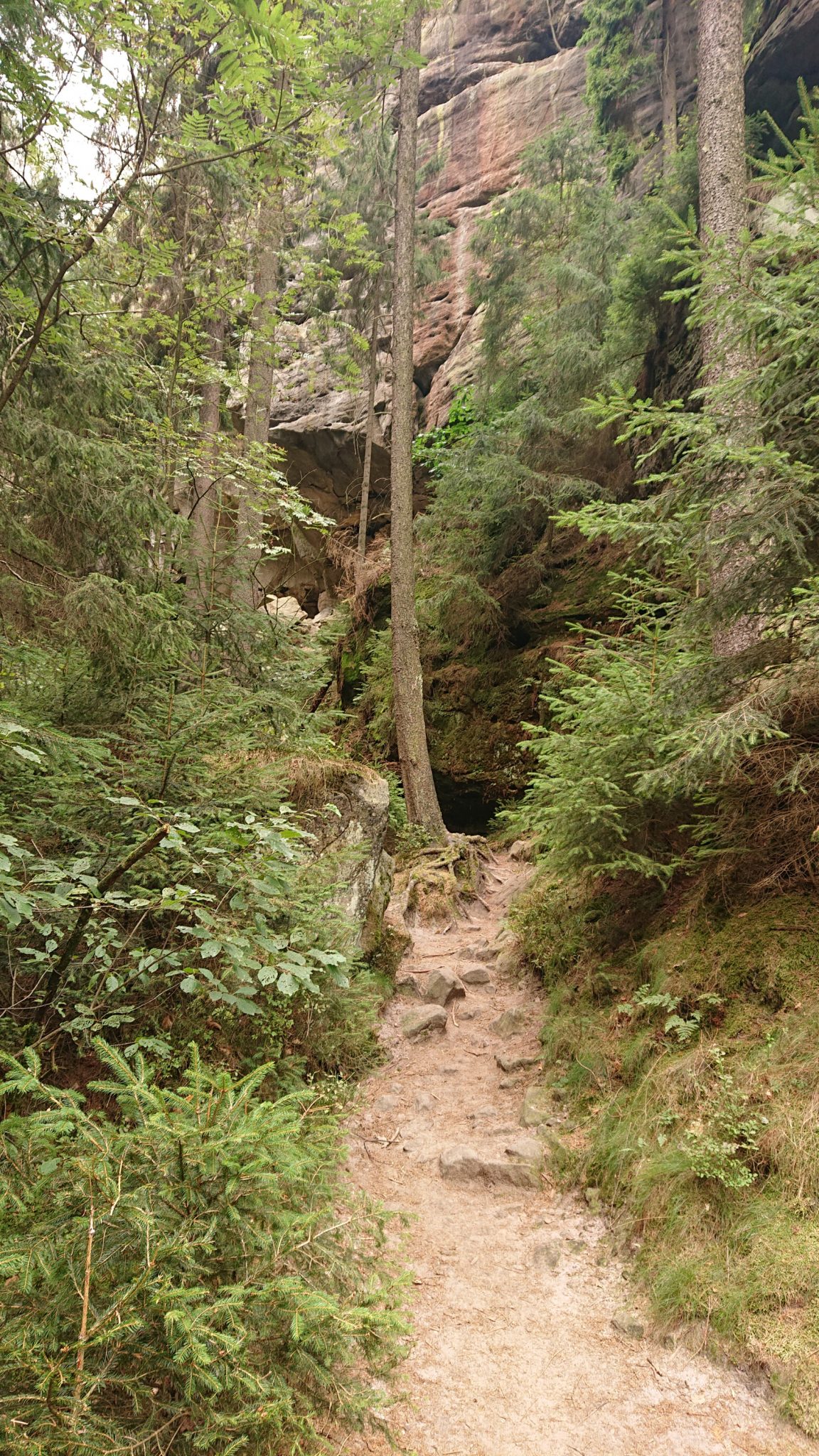Wanderung durch Polenztal zur Bastei und zu Schwedenlöcher, Wanderweg zur Gautschgrotte in der Nähe vom Polenztal