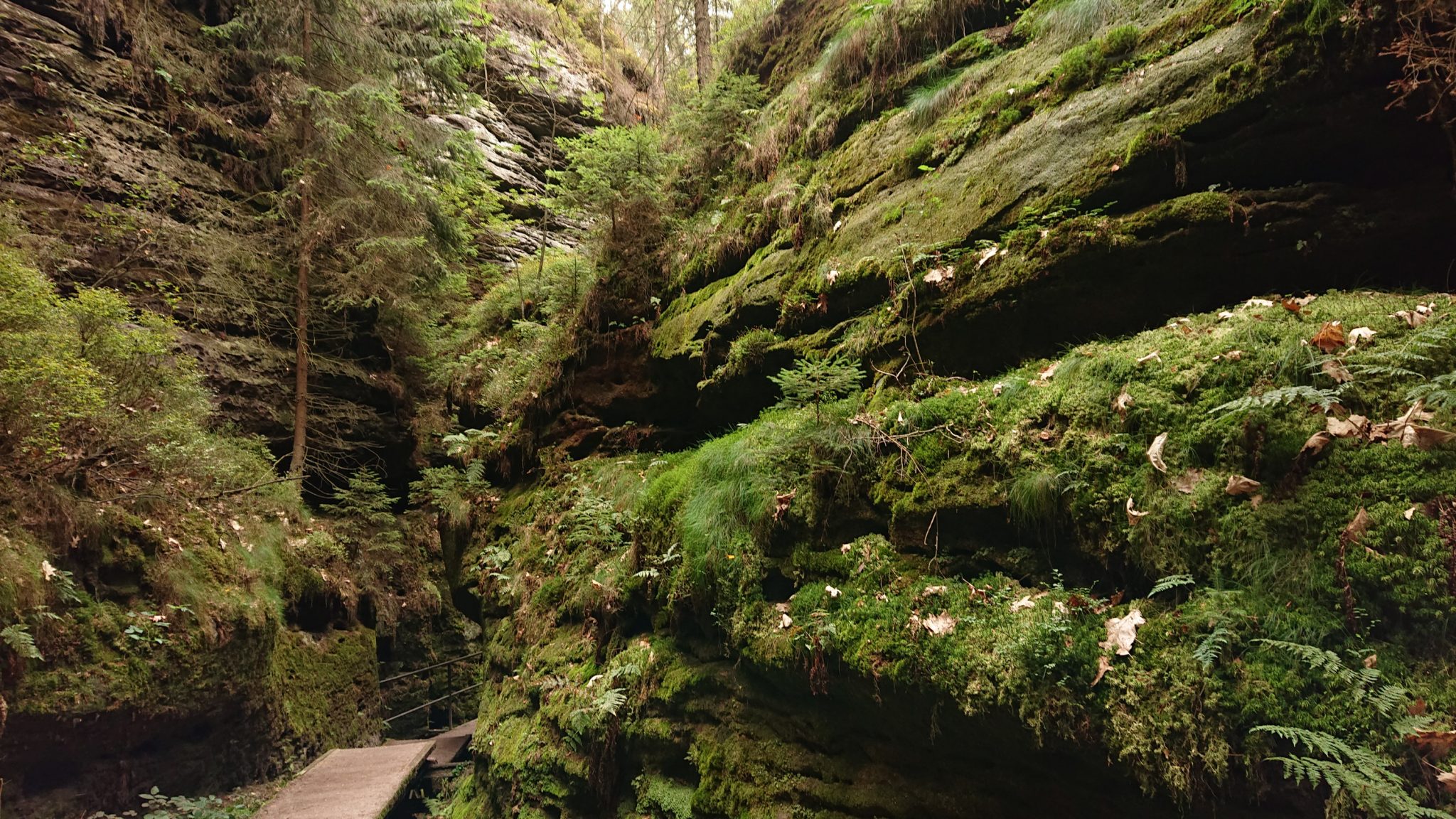 Wanderung durch Polenztal zur Bastei und zu Schwedenlöcher, Wanderweg durch die Schwedenlöcher, schmale Pfade entlang moosbewachsener Felsen