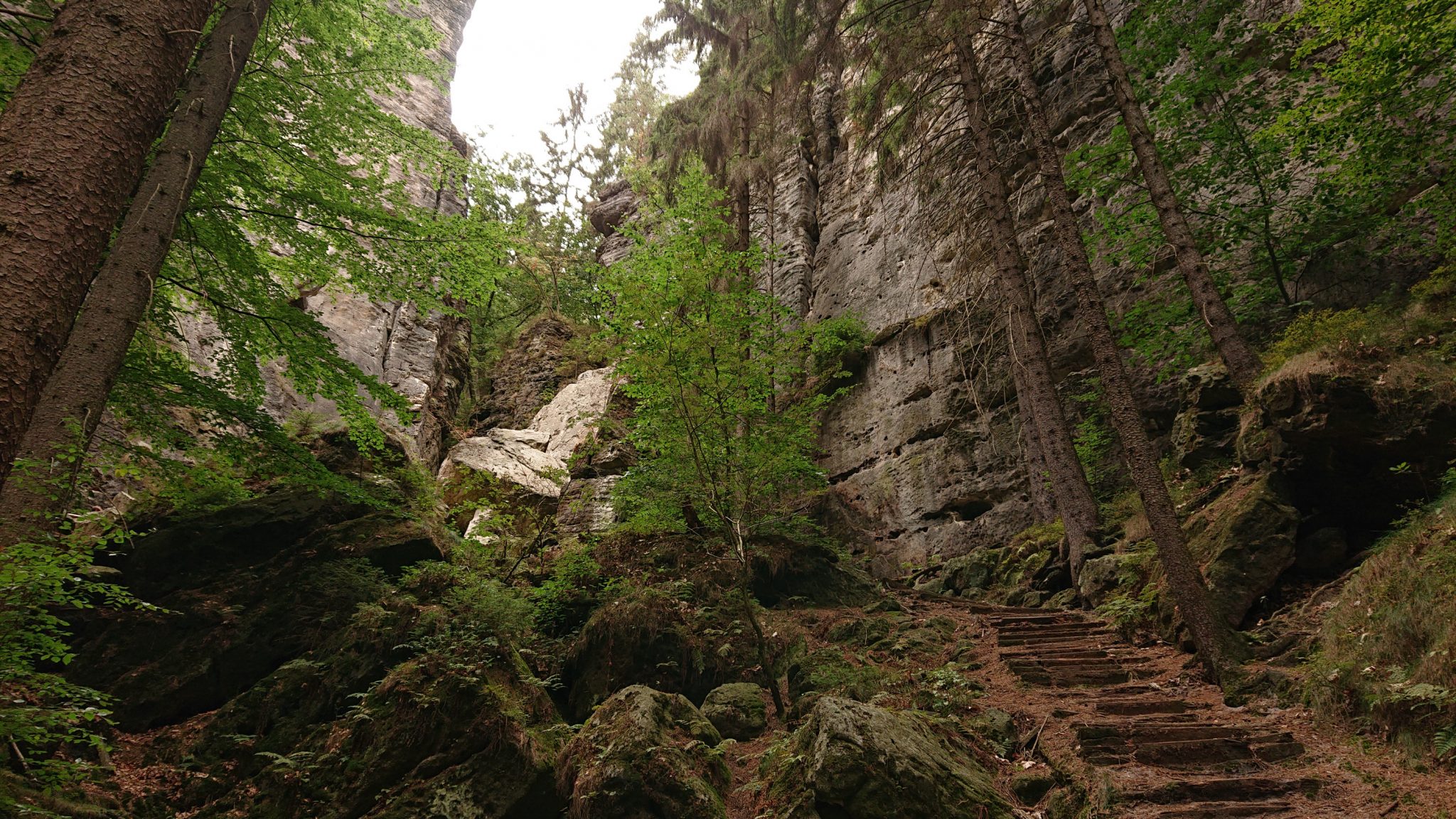 Wanderung durch Polenztal zur Bastei und zu Schwedenlöcher, Wanderweg durch die Schwedenlöcher, schmale Pfade entlang moosbewachsener Felsen, steile und schmale Treppen