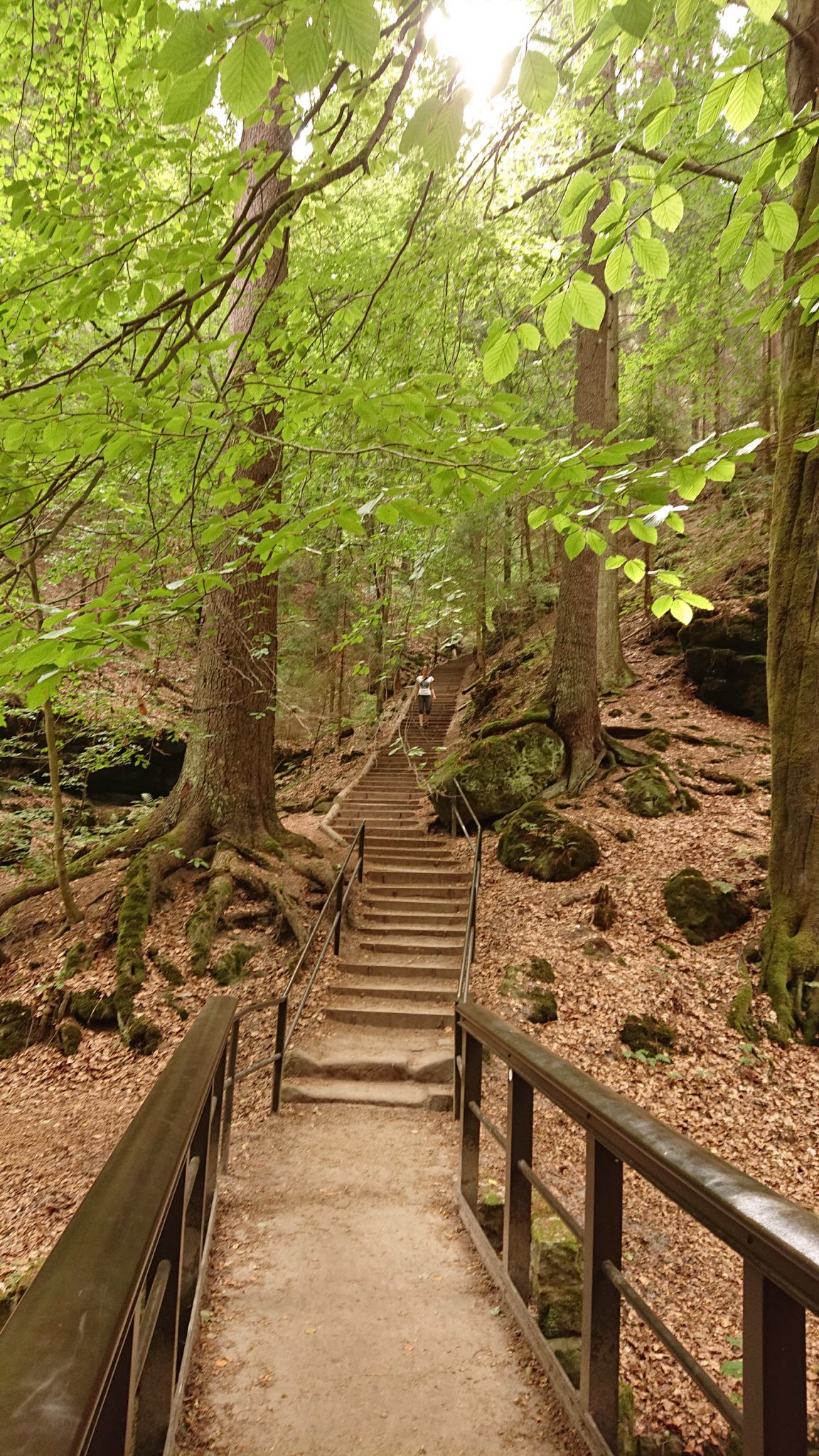 Wanderung durch Polenztal zur Bastei und zu Schwedenlöcher, Wanderweg durch die Schwedenlöcher, schmale Pfade entlang moosbewachsener Felsen, steile und schmale Treppen durch schönen Wald