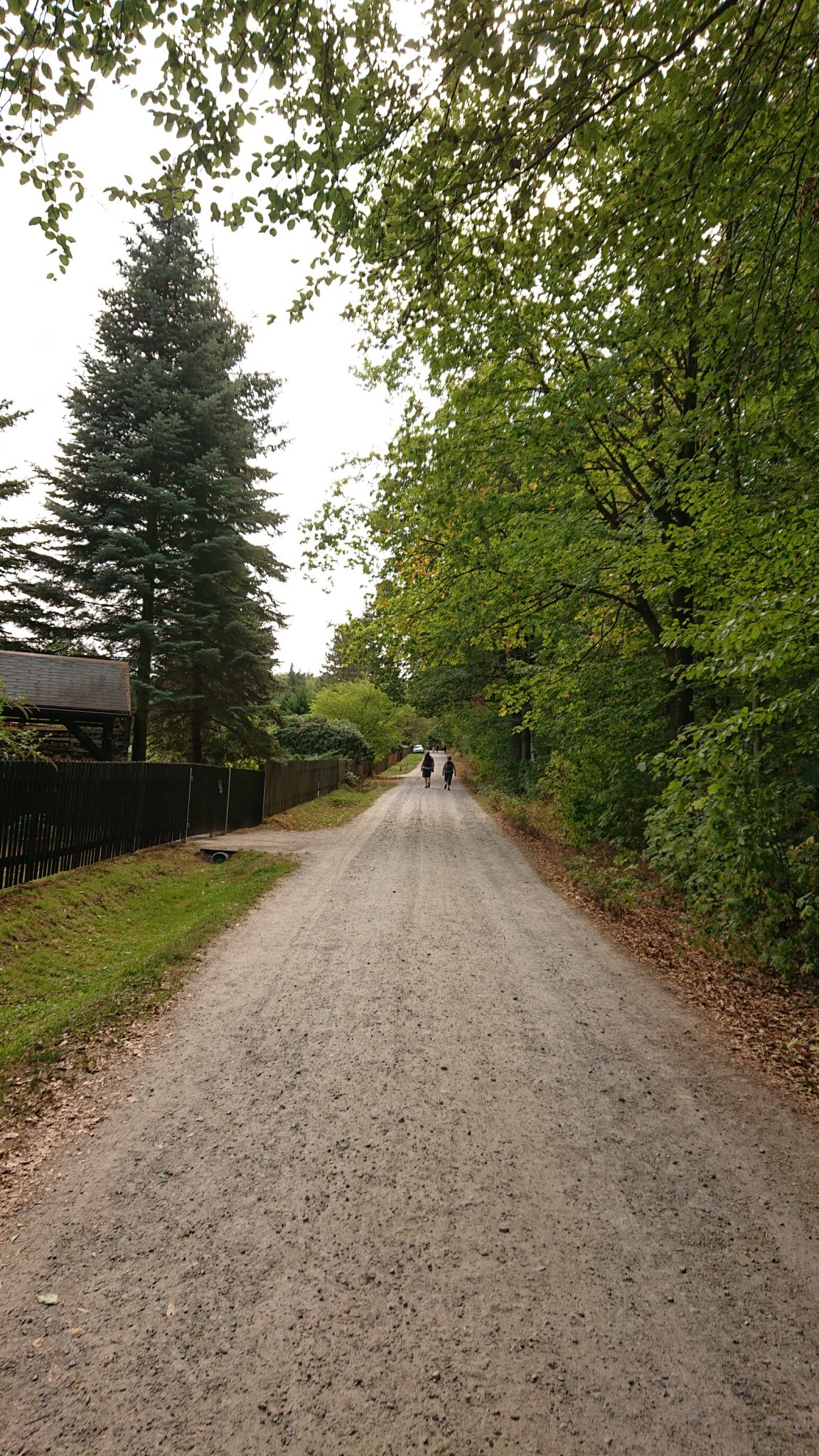 Kirnitzschklamm Hermanseck und Königsplatz im Kirnitzschtal wandern, Wanderweg im Wanderparadies Sächsische Schweiz mit vielen tollen Aussichten, riesiger Felsennationalpark, breiterer Wegabschnitt zu Beginn