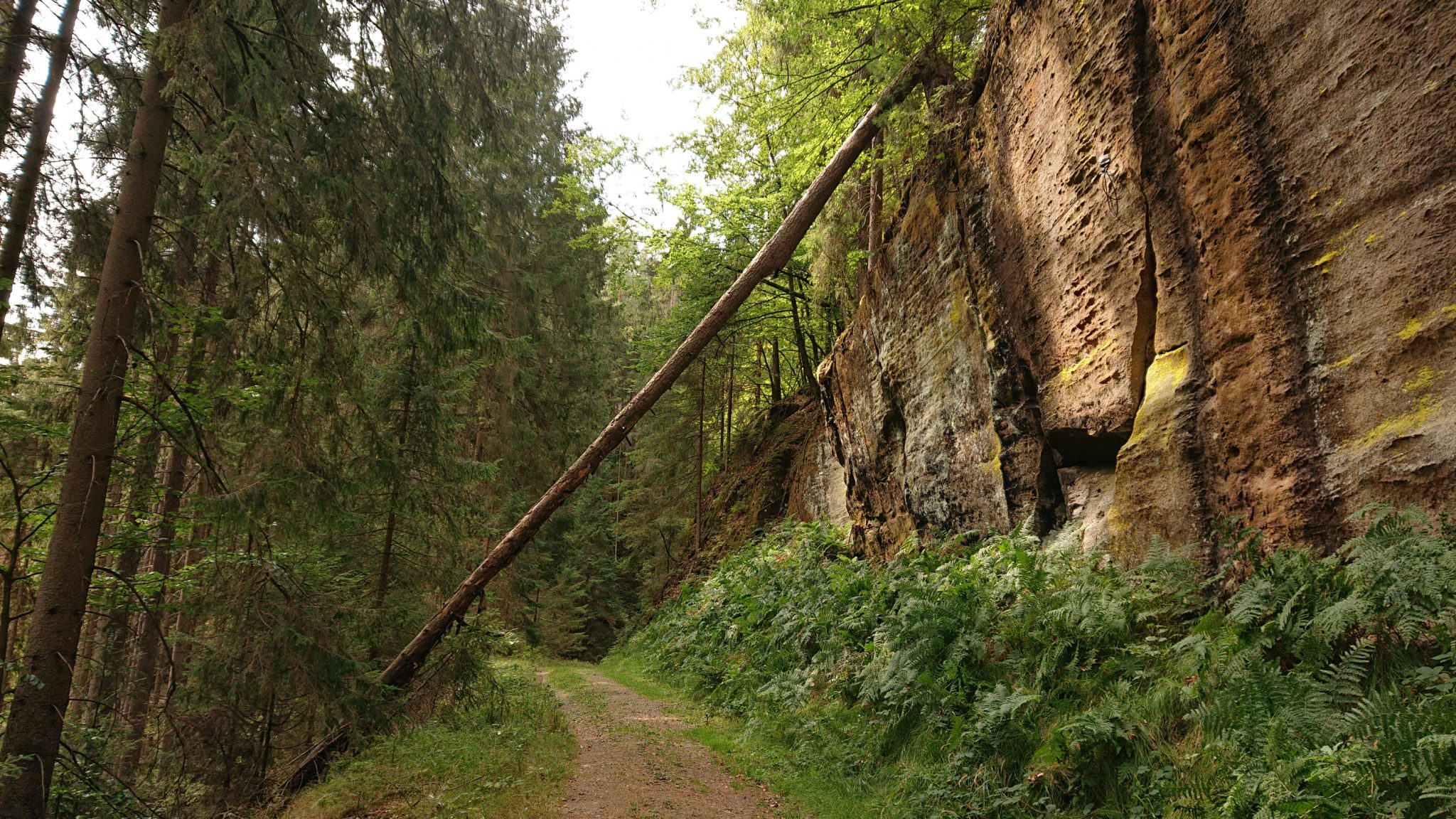 Kirnitzschklamm Hermanseck und Königsplatz im Kirnitzschtal wandern, Wanderweg im Wanderparadies Sächsische Schweiz mit vielen tollen Aussichten, riesiger Felsennationalpark