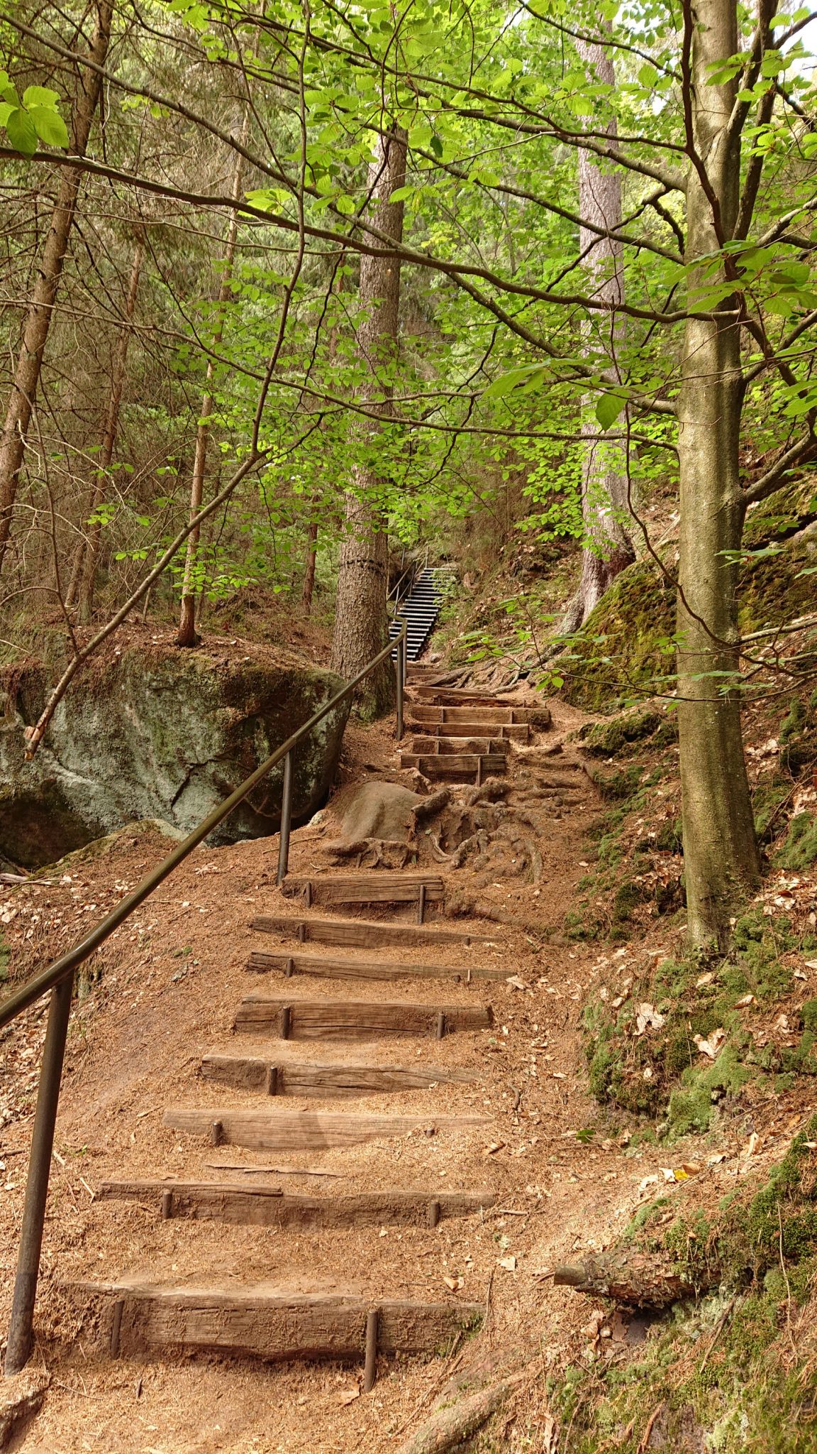 Kirnitzschklamm Hermanseck und Königsplatz im Kirnitzschtal wandern, Wanderweg im Wanderparadies Sächsische Schweiz mit vielen tollen Aussichten, riesiger Felsennationalpark, immer wieder viele Treppen zu überwinden