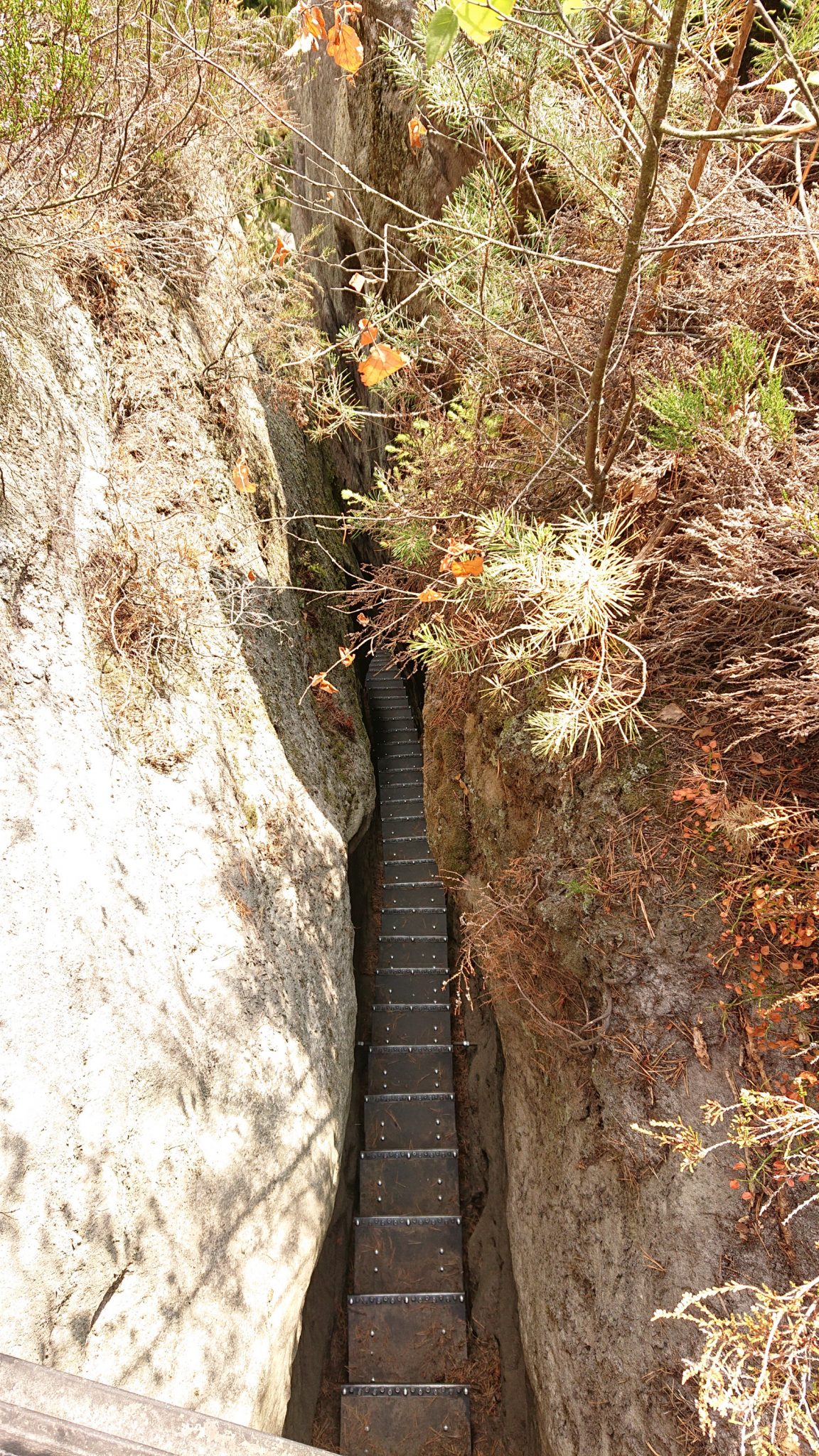 Kirnitzschklamm Hermanseck und Königsplatz im Kirnitzschtal wandern, Wanderweg im Wanderparadies Sächsische Schweiz mit vielen tollen Aussichten, riesiger Felsennationalpark, schmale Treppe zum Hermannseck Aussichtspunkt
