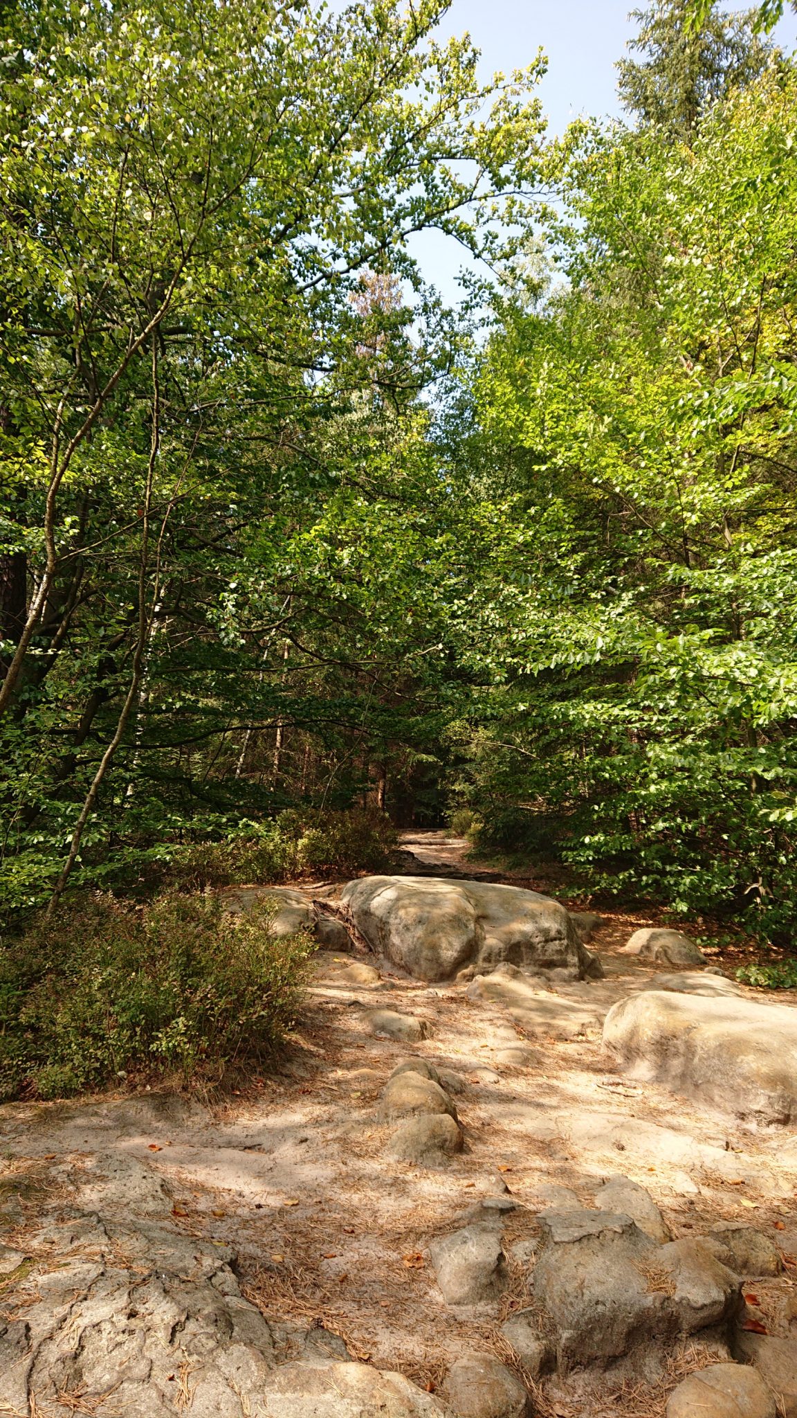 Kirnitzschklamm Hermanseck und Königsplatz im Kirnitzschtal wandern, Wanderweg im Wanderparadies Sächsische Schweiz mit vielen tollen Aussichten, riesiger Felsennationalpark