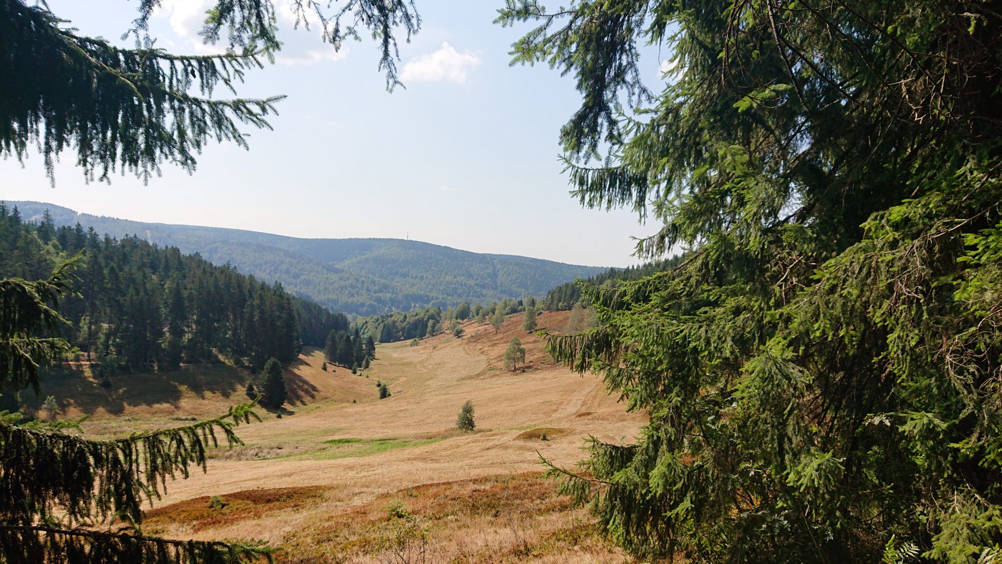 Großer Beerberg Schneekopf und Teufelskanzel, Gipfeltour Wanderung im Thüringer Wald