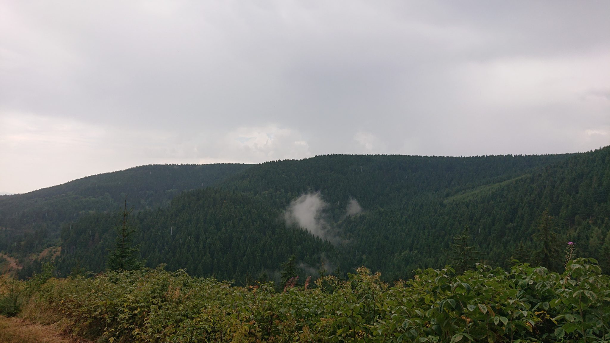 Großer Beerberg Schneekopf und Teufelskanzel, Gipfeltour Wanderung im Thüringer Wald, Aussicht auf Thüringer Wald
