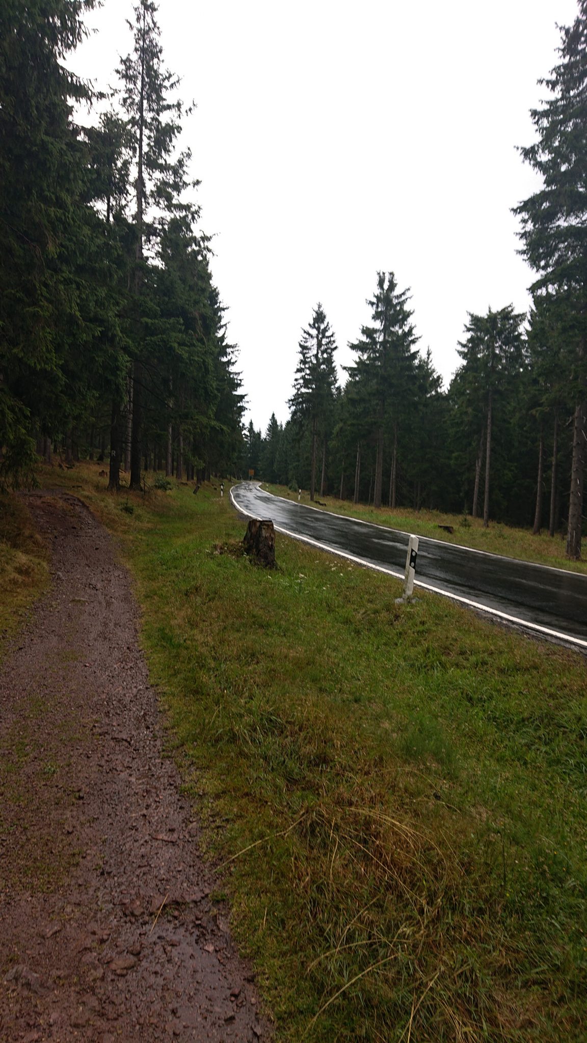 Großer Beerberg Schneekopf und Teufelskanzel, Gipfeltour Wanderung im Thüringer Wald, kurzer Abschnitt entlang Straße im Regen