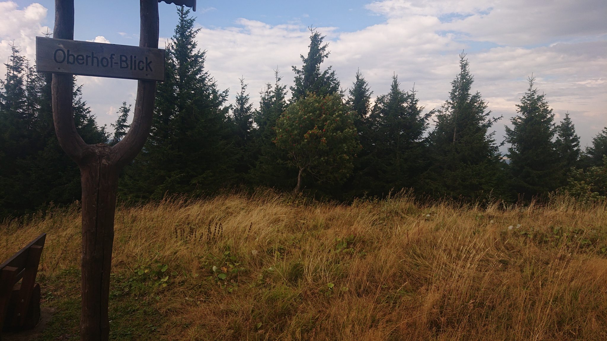 Großer Beerberg Schneekopf und Teufelskanzel, Gipfeltour Wanderung im Thüringer Wald, Schild Wegmarkierung Oberhof-Blick ohne Blick auf Oberhof