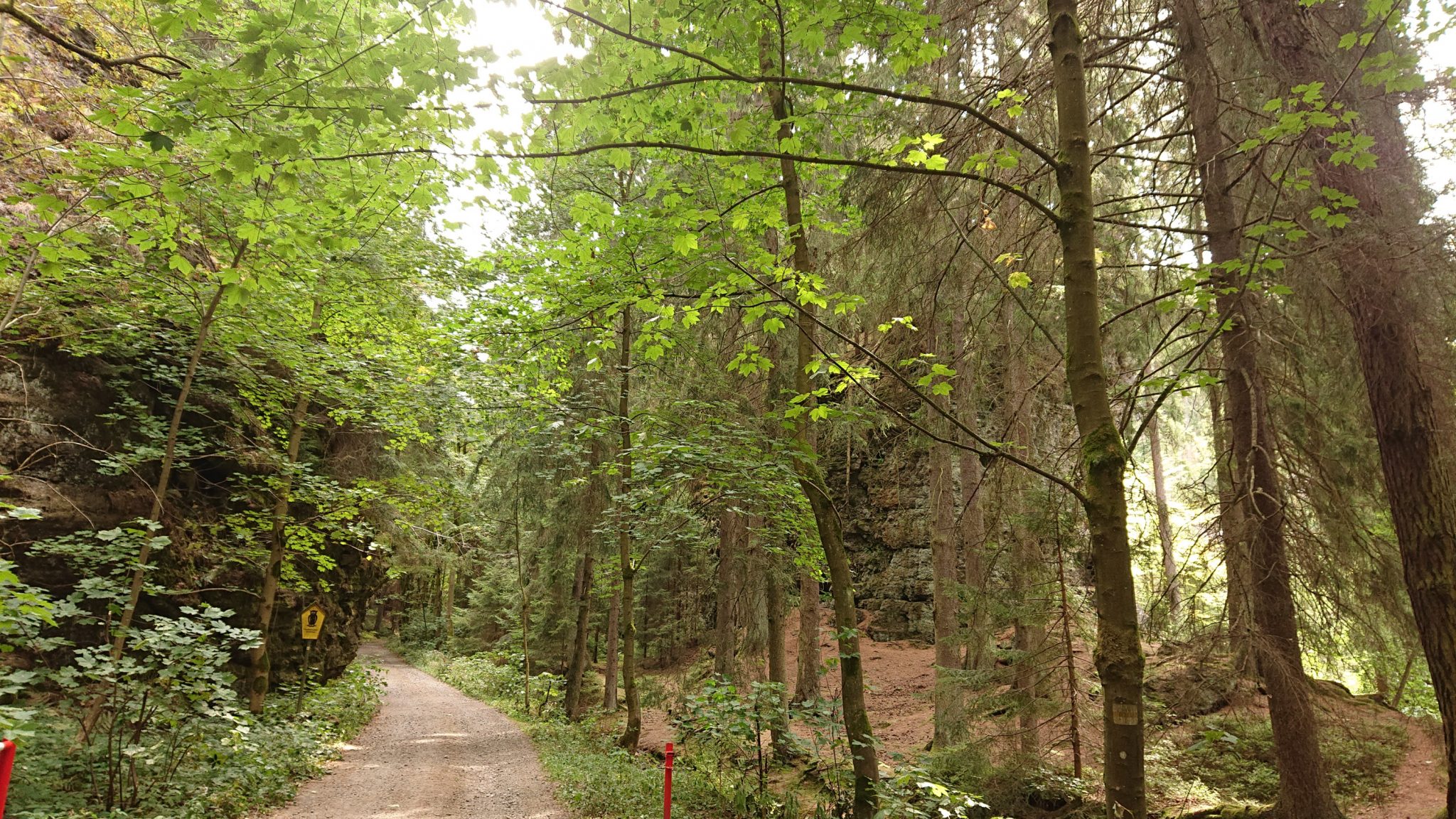 Marderschlucht wandern bei Tambach-Dietharz, schöner Wanderweg durch Wald entlang Marderbach und Tal