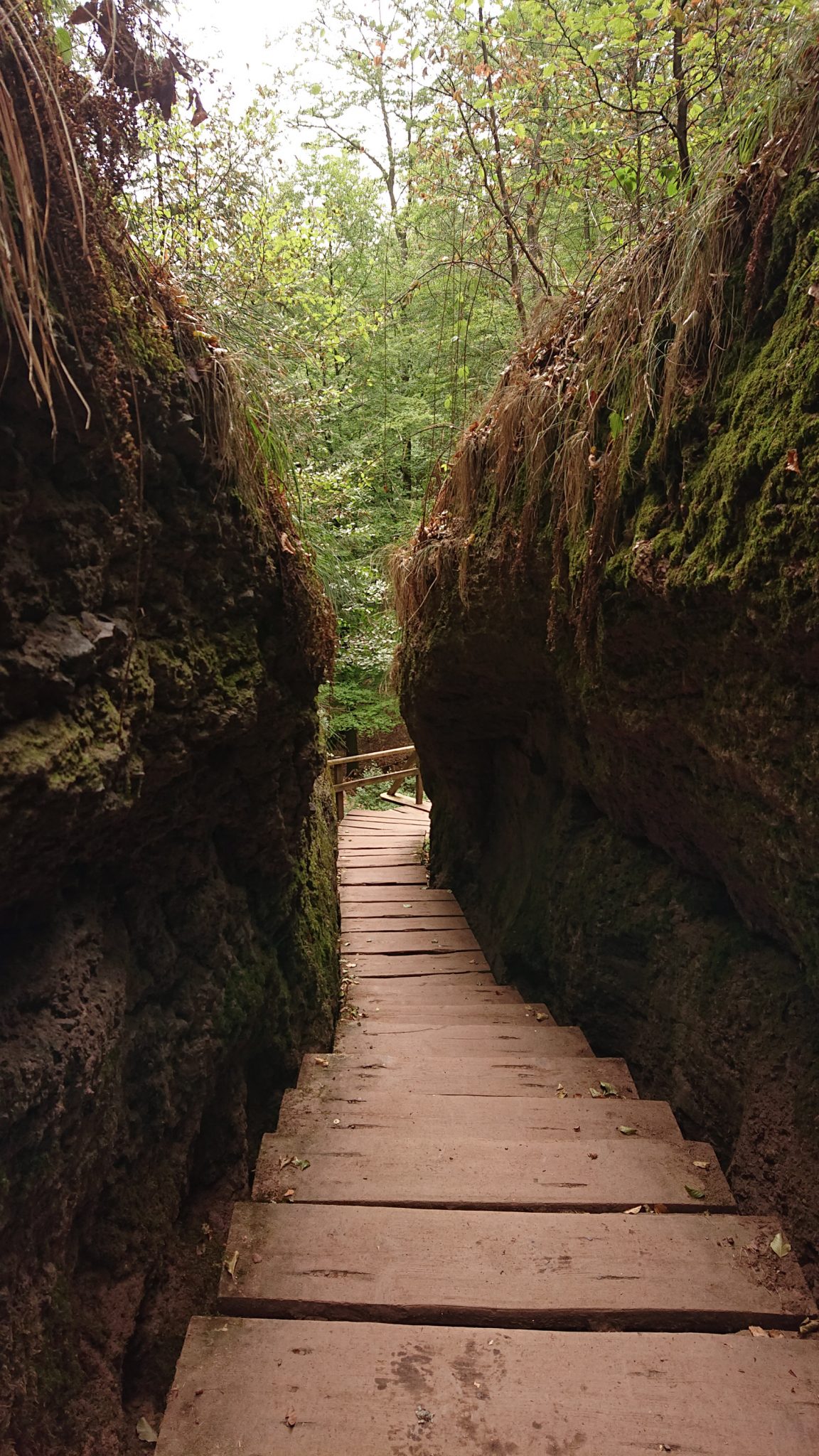 Drachenschlucht und Landgrafenschlucht - Schluchtentour bei Eisenach wandern, sehr schmaler Weg durch Drachenschlucht, gemachter Weg über Holzstufen, große Felswände