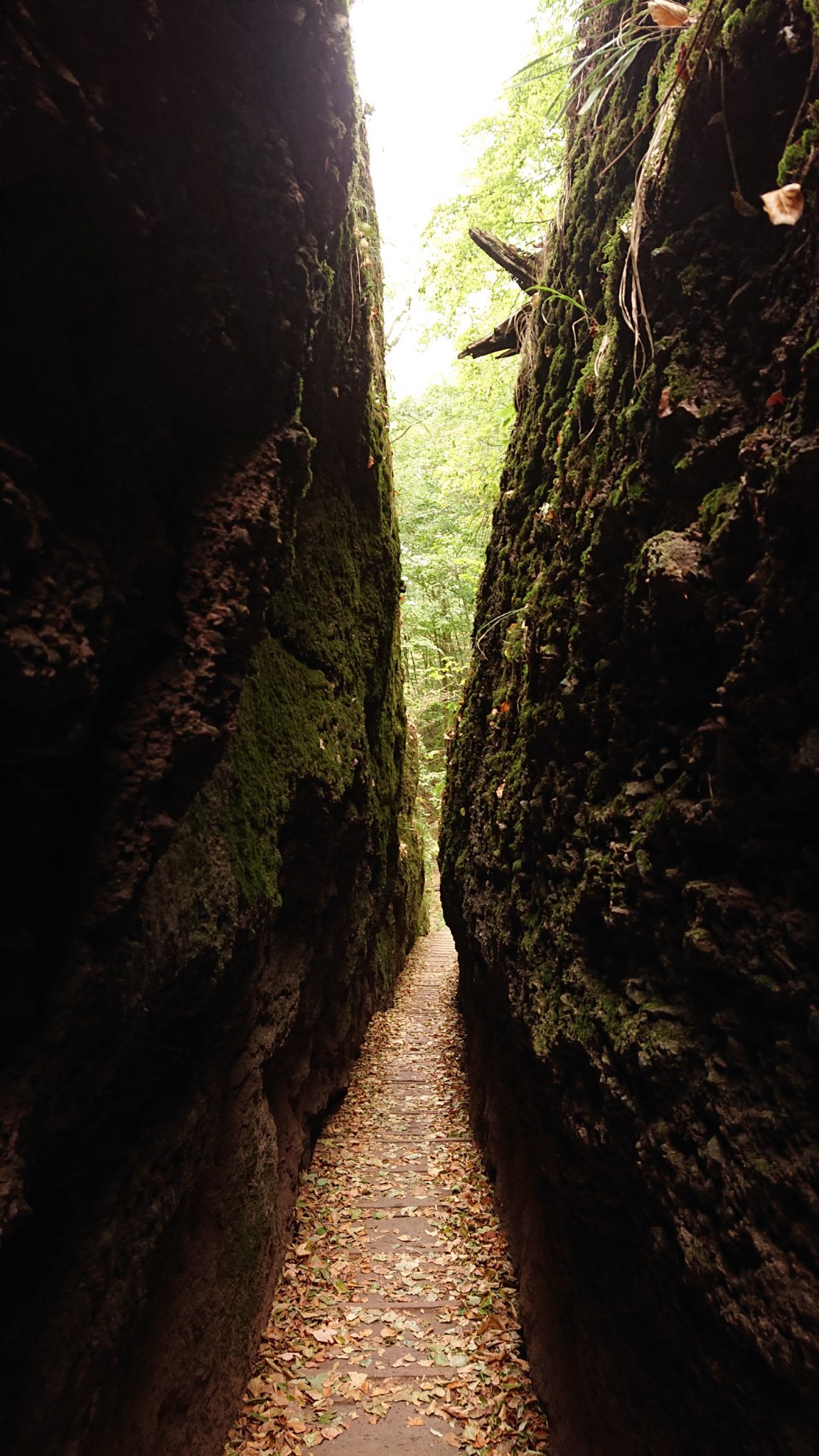 Drachenschlucht und Landgrafenschlucht - Schluchtentour bei Eisenach wandern, sehr schmaler Weg durch Drachenschlucht, gemachter Weg über Holzstufen, große Felswände