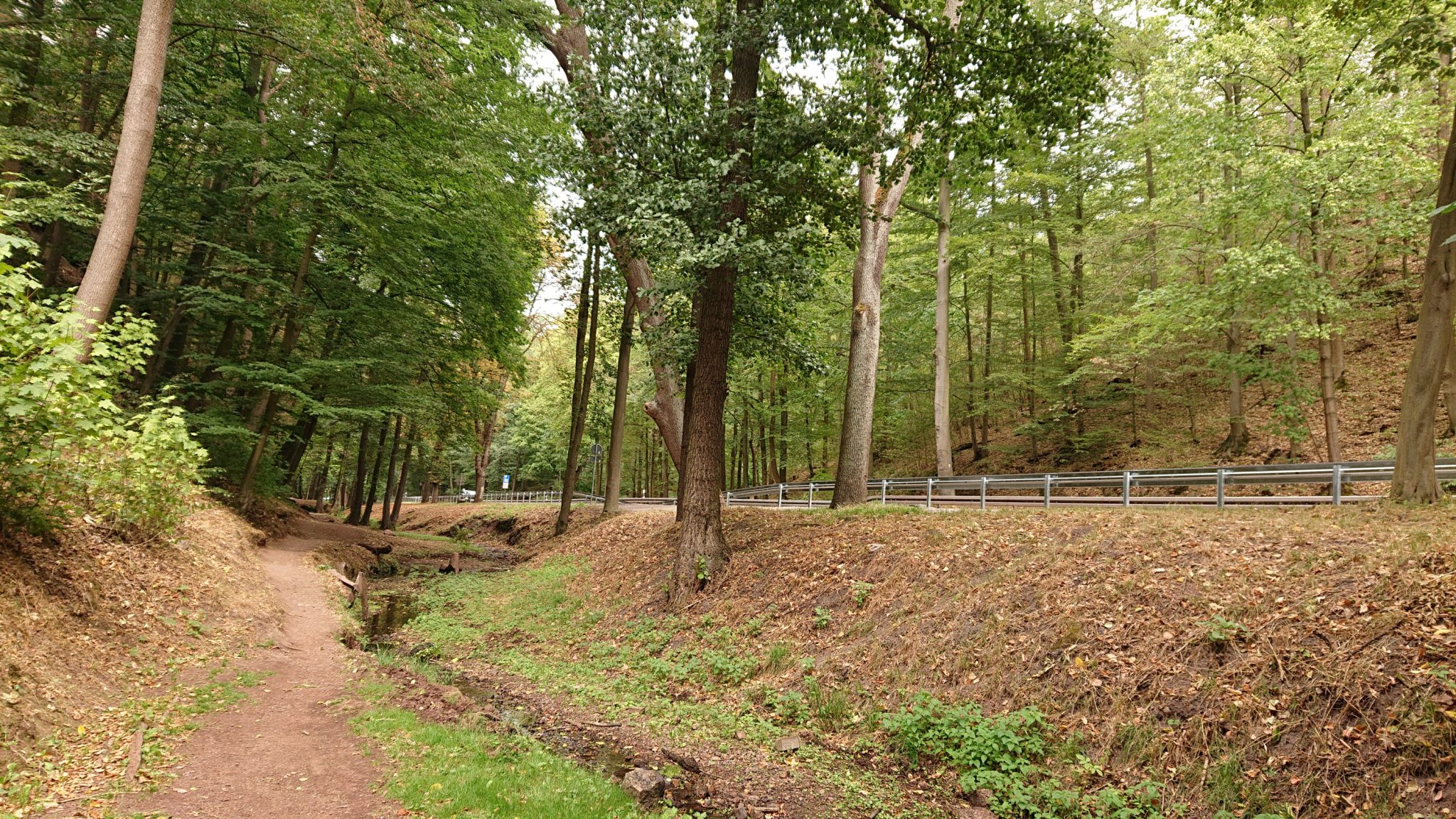 Drachenschlucht und Landgrafenschlucht - Schluchtentour bei Eisenach wandern, kurzer Abschnitt entlang Straße